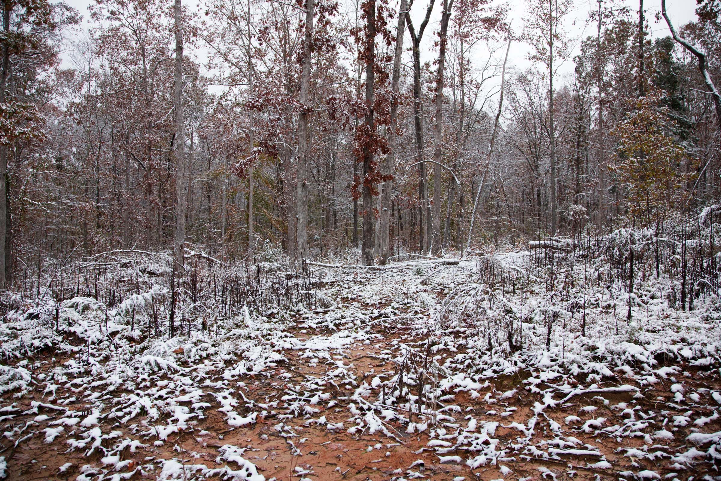 Sweet Water Ranch Tract 14 photo 4