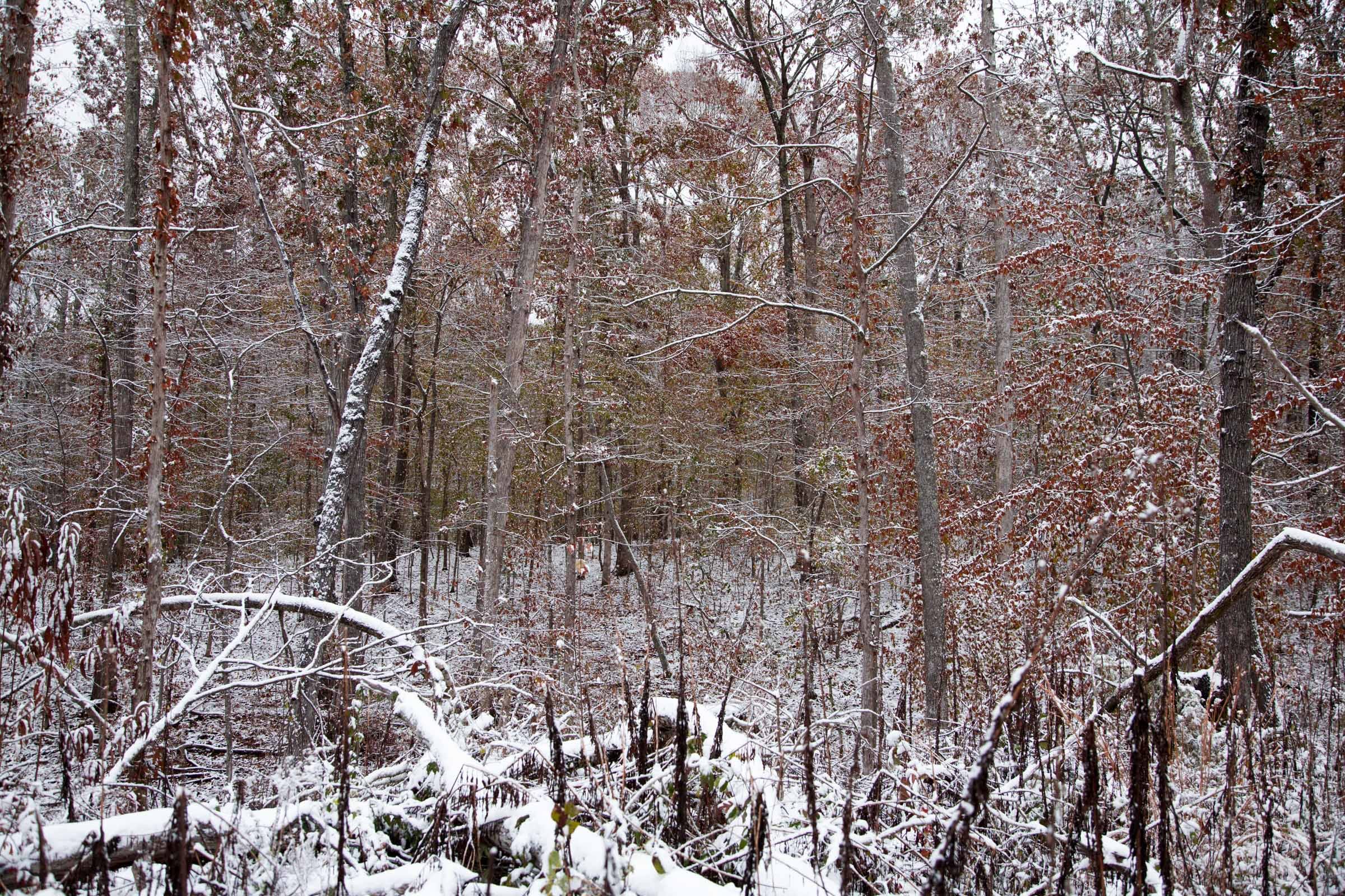 Sweet Water Ranch Tract 14 photo 5
