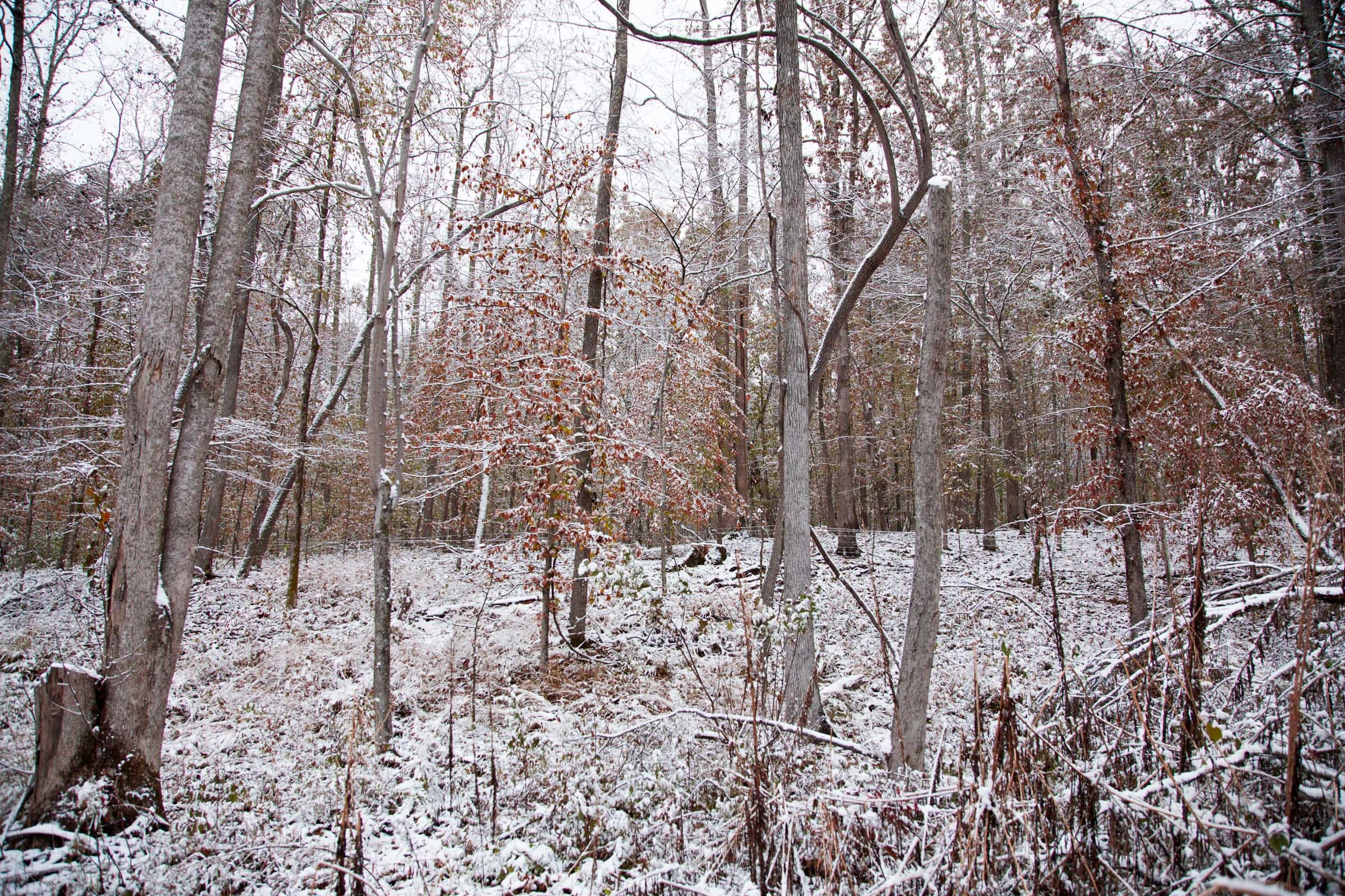 Sweet Water Ranch Tract 14 photo 8