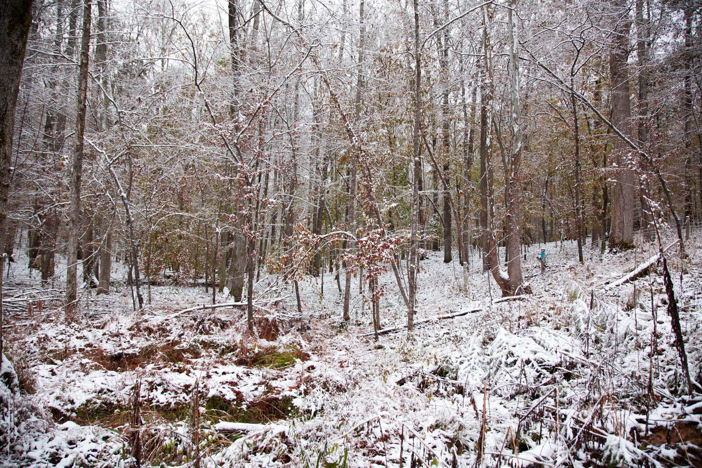 Sweet Water Ranch Tract 14 photo 9