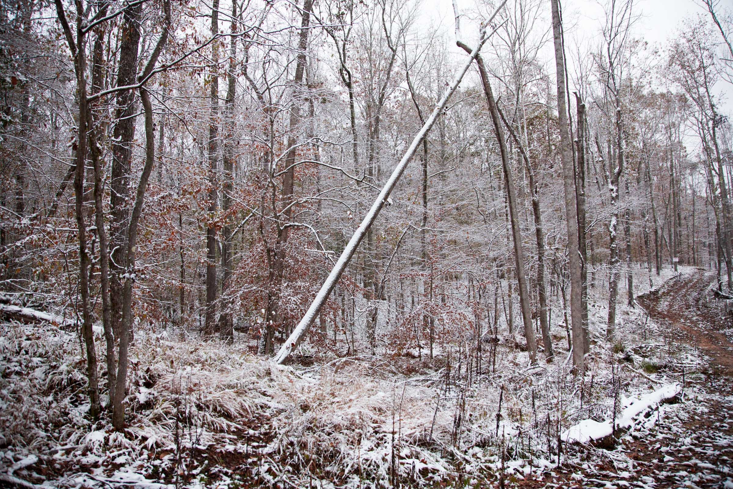 Sweet Water Ranch Tract 14 photo 10