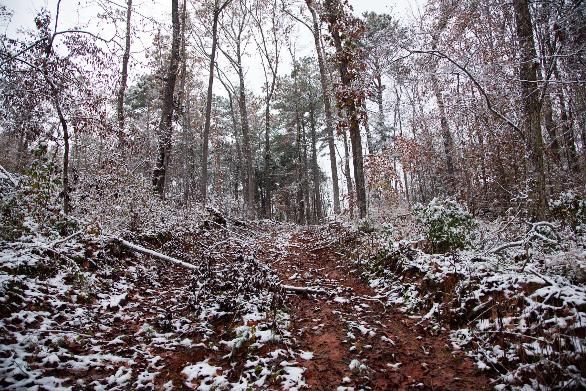 Sweet Water Ranch Tract 14 photo 11