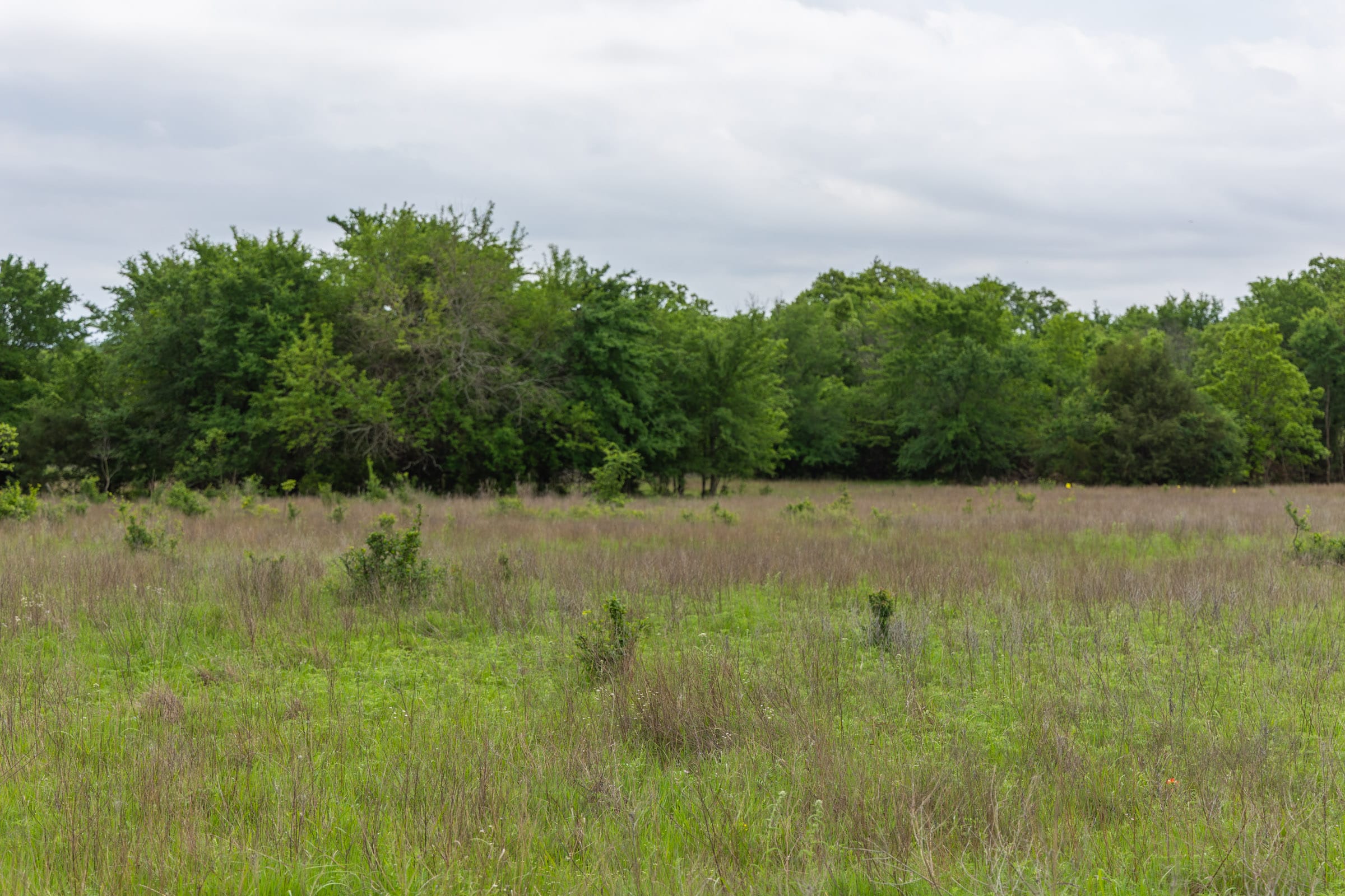Harmony Hills Tract 12 photo 3