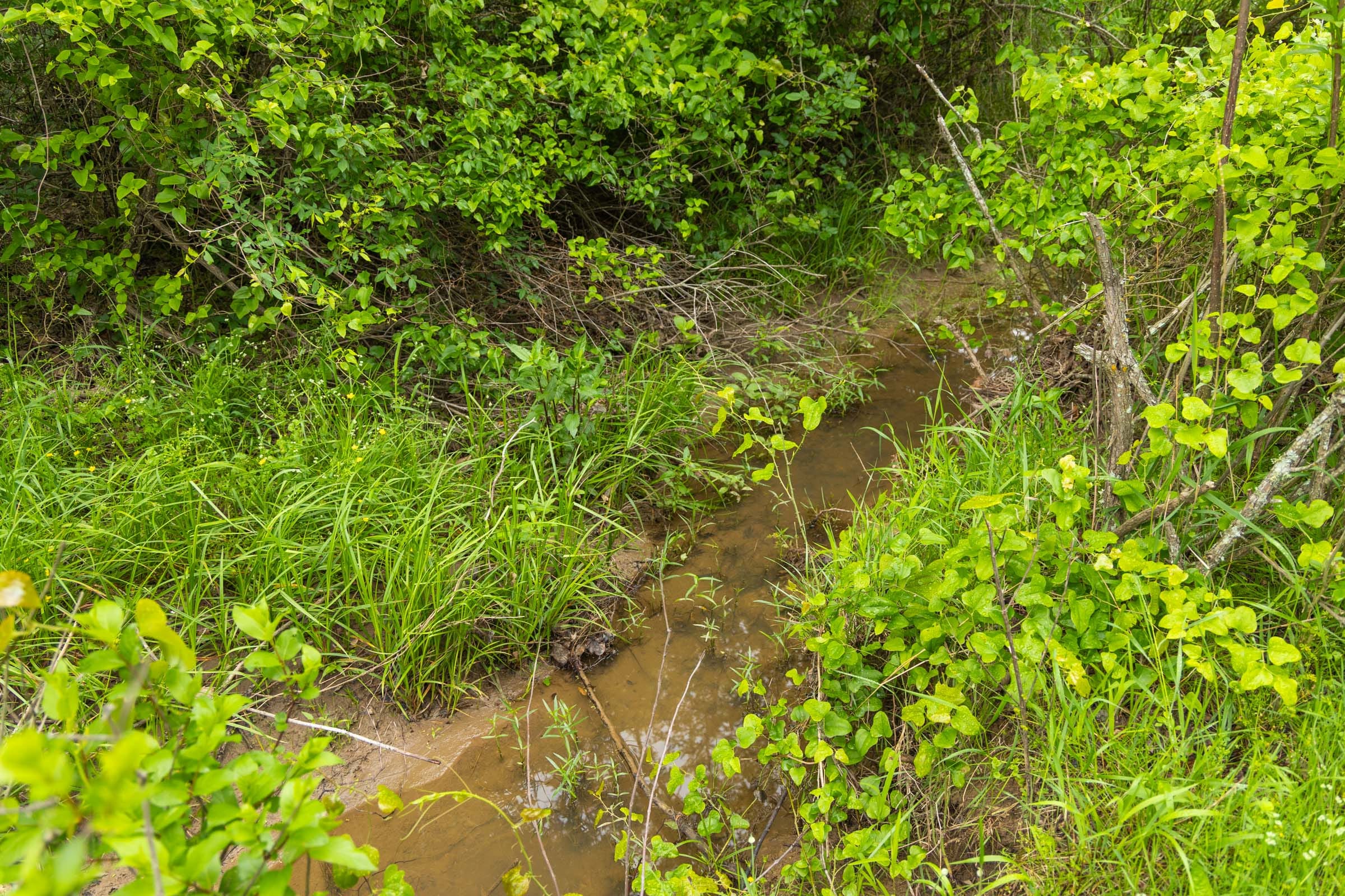 Harmony Hills Tract 12 photo 12