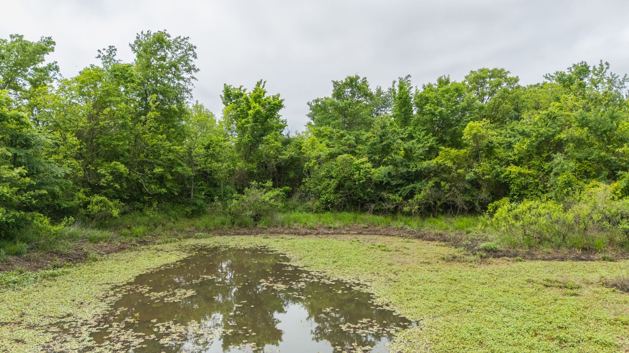 Harmony Hills Tract 12 photo 10