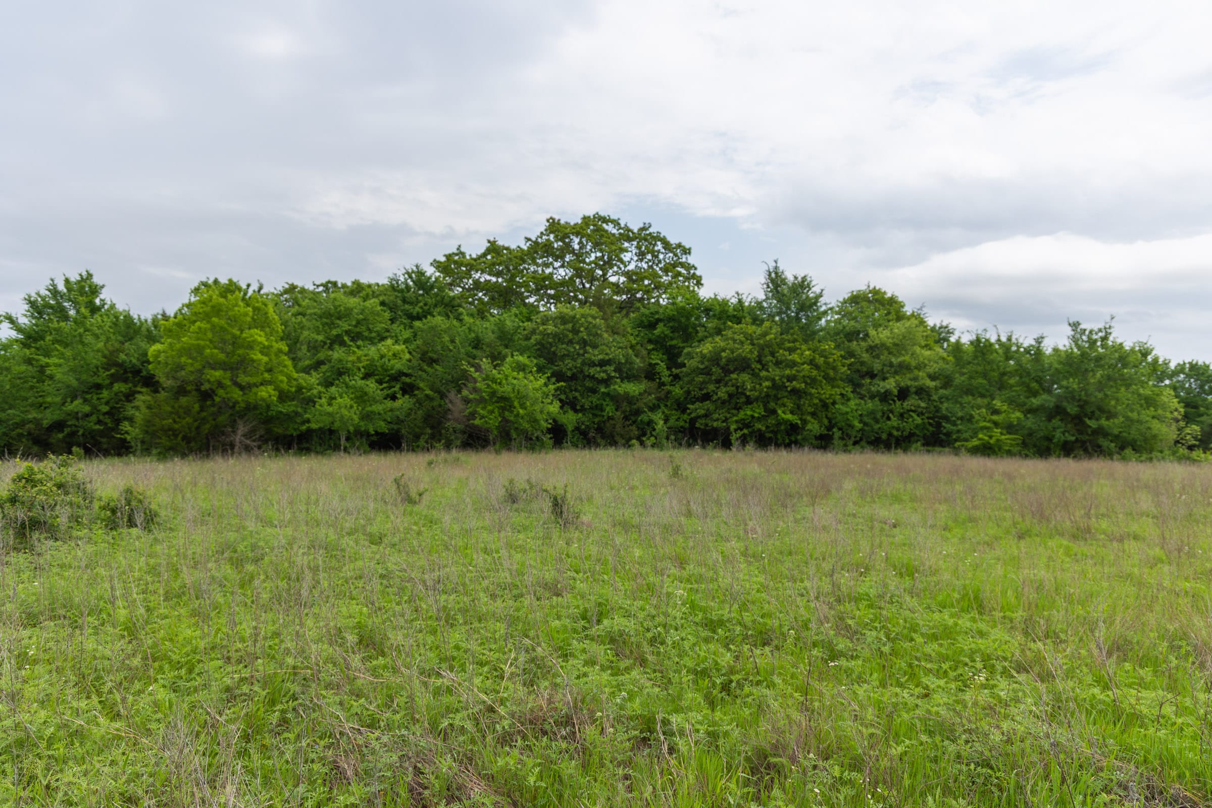 Harmony Hills Tract 12 photo 5