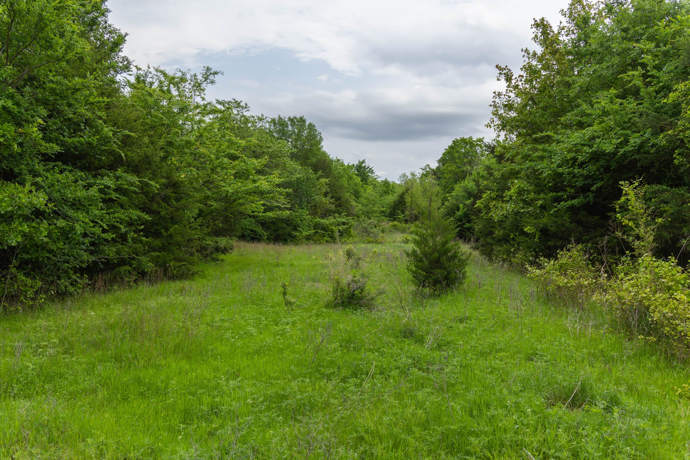 Harmony Hills Tract 12 photo 8