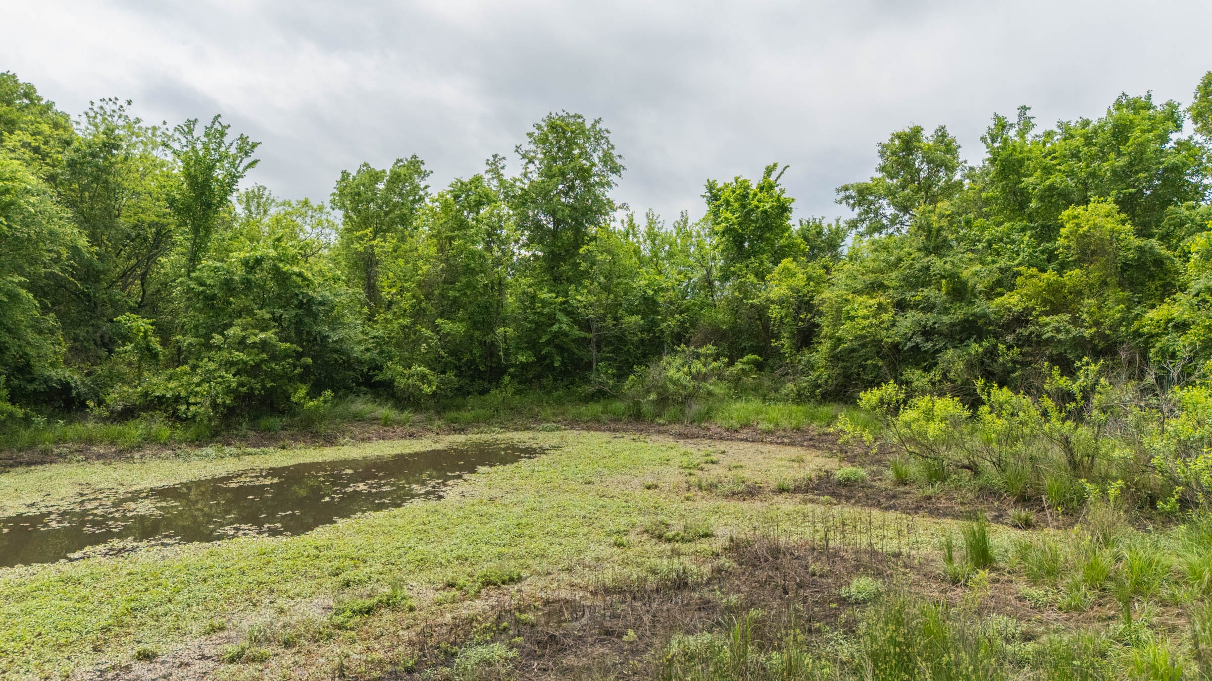 Harmony Hills Tract 12 photo 4