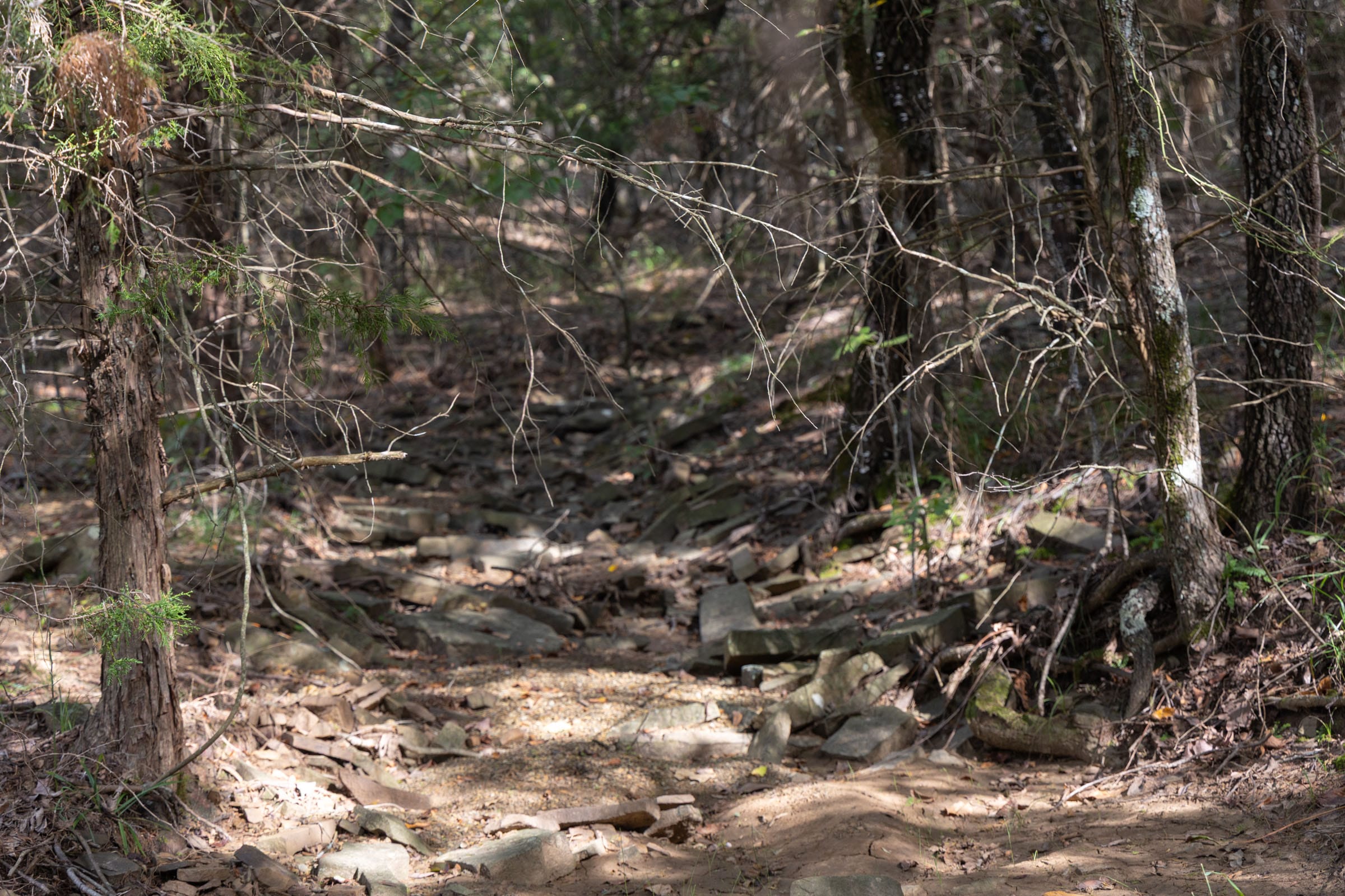 Reserves At Cattail Cove Phase II Tract 45 photo 10