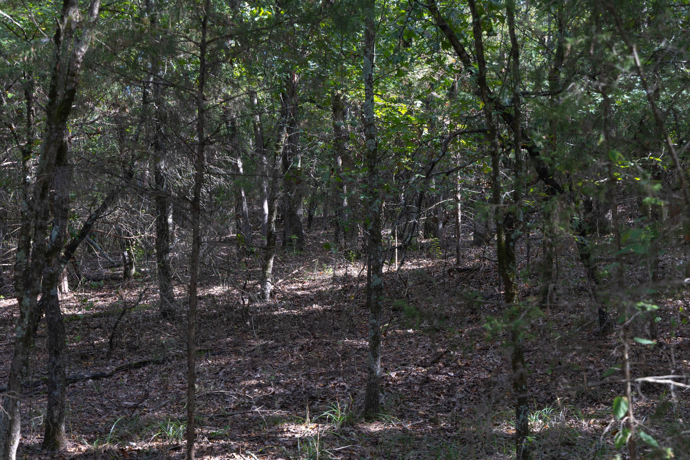 Reserves At Cattail Cove Phase II Tract 45 photo 5