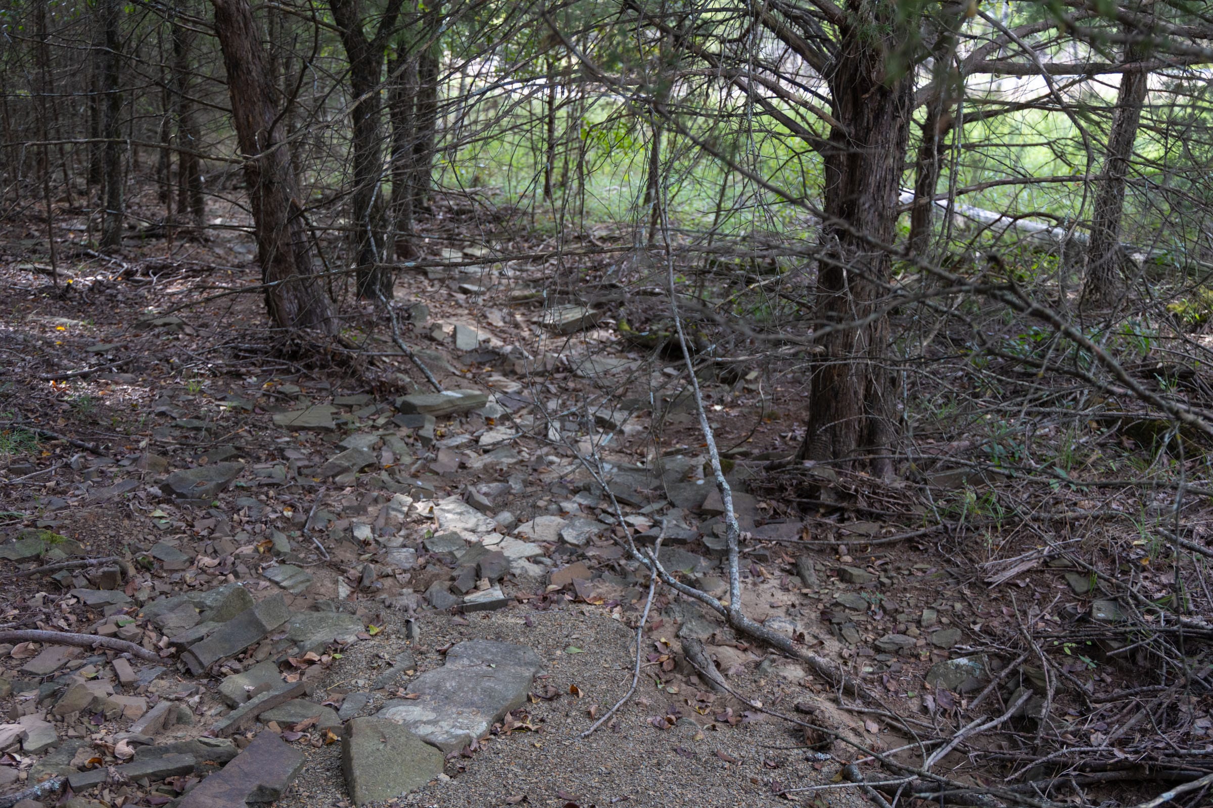 Reserves At Cattail Cove Phase II Tract 45 photo 3