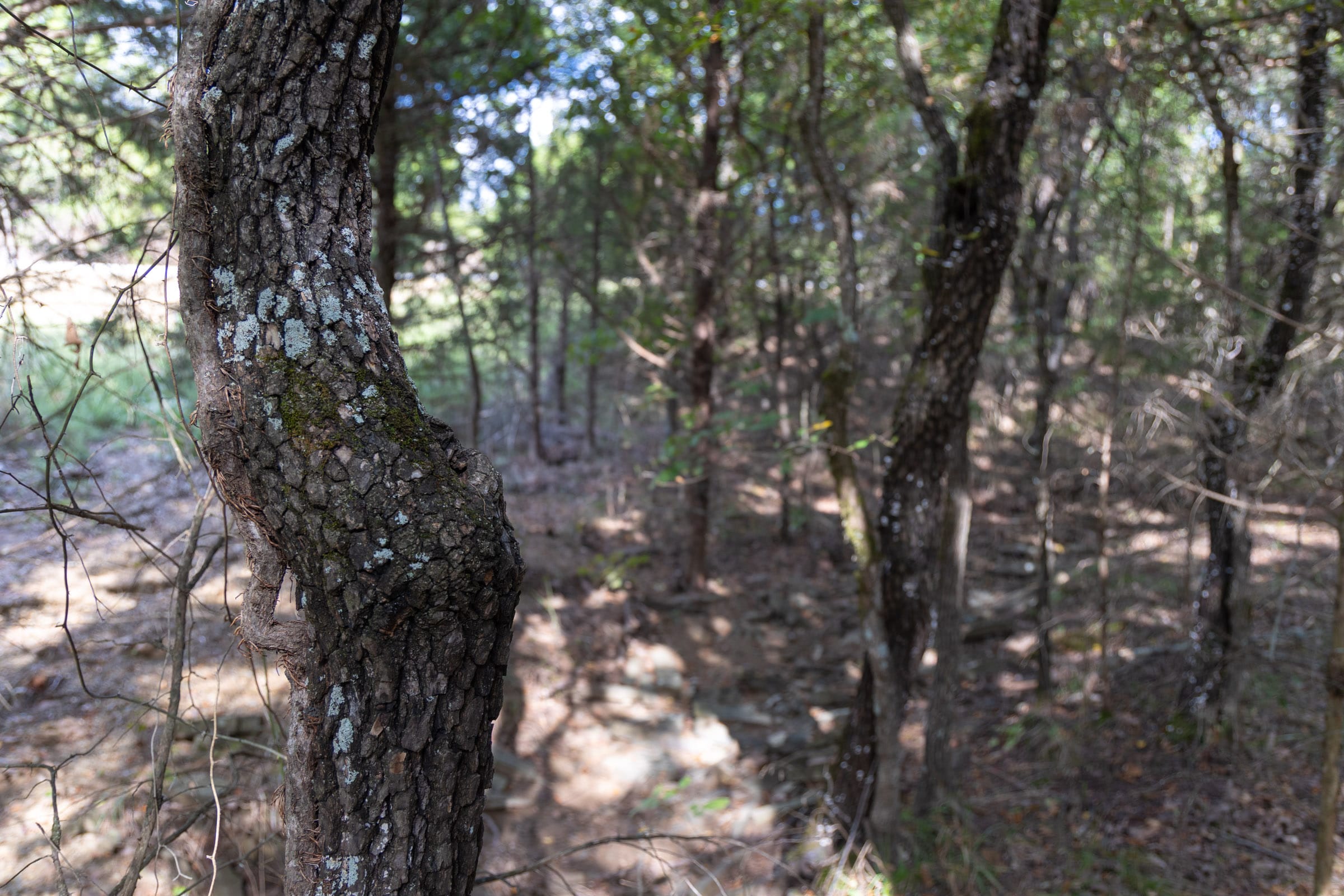 Reserves At Cattail Cove Phase II Tract 45 photo 6