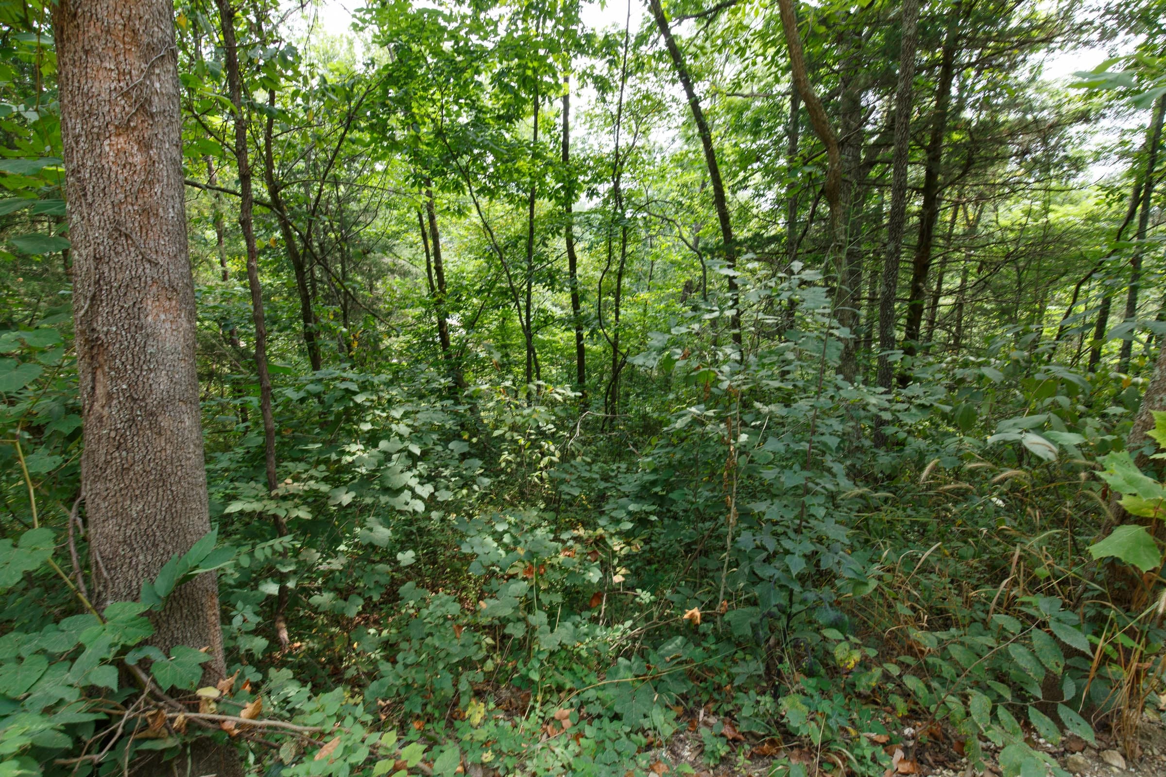 Spring Lake Plat 6 Tract 105 photo 2