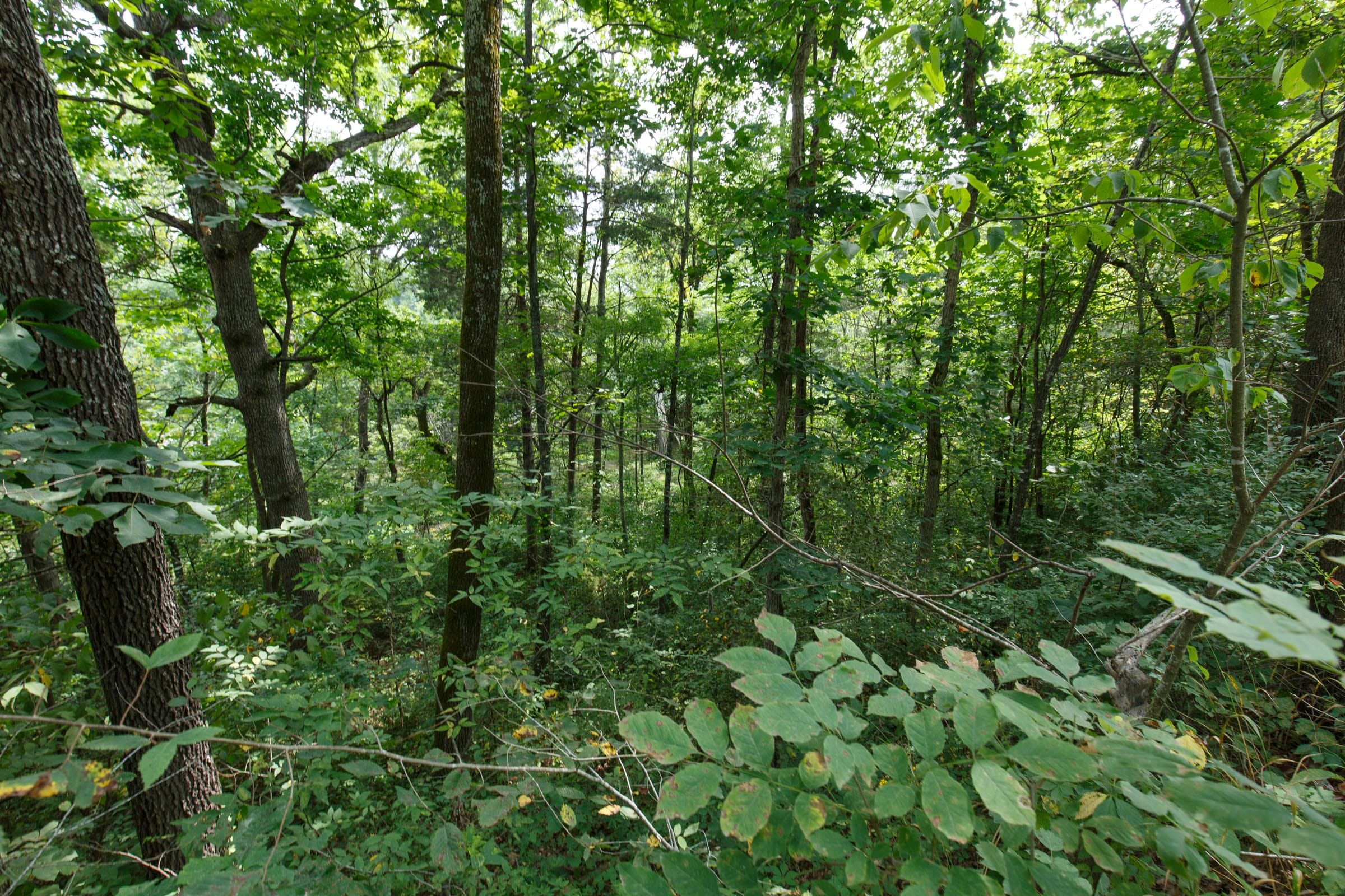 Spring Lake Plat 6 Tract 105 photo 4