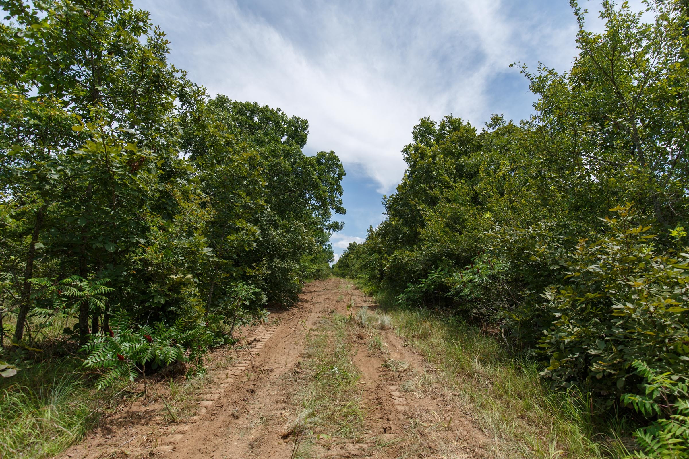 Timber Ridge Tract 17 photo 1