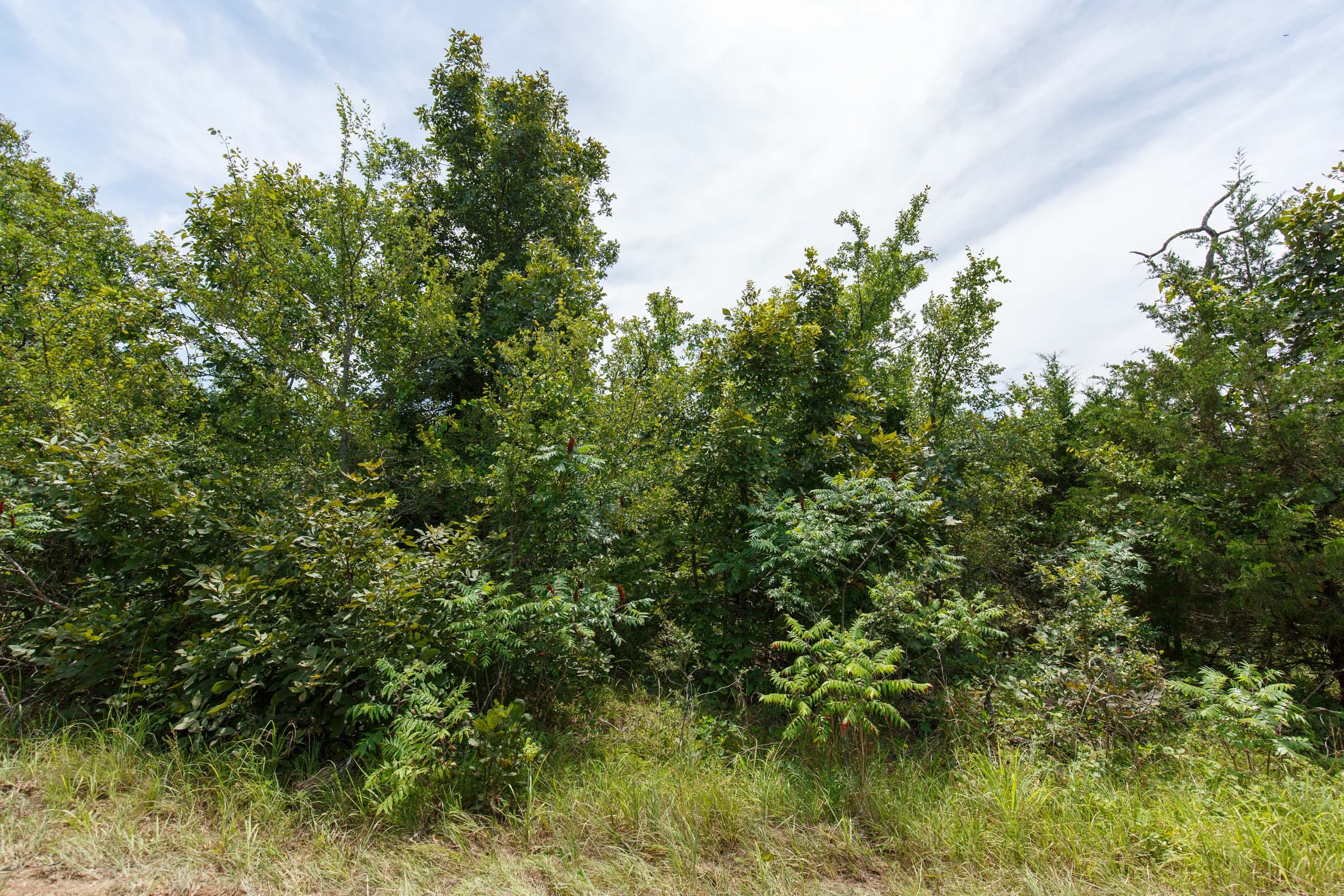 Timber Ridge Tract 17 photo 2