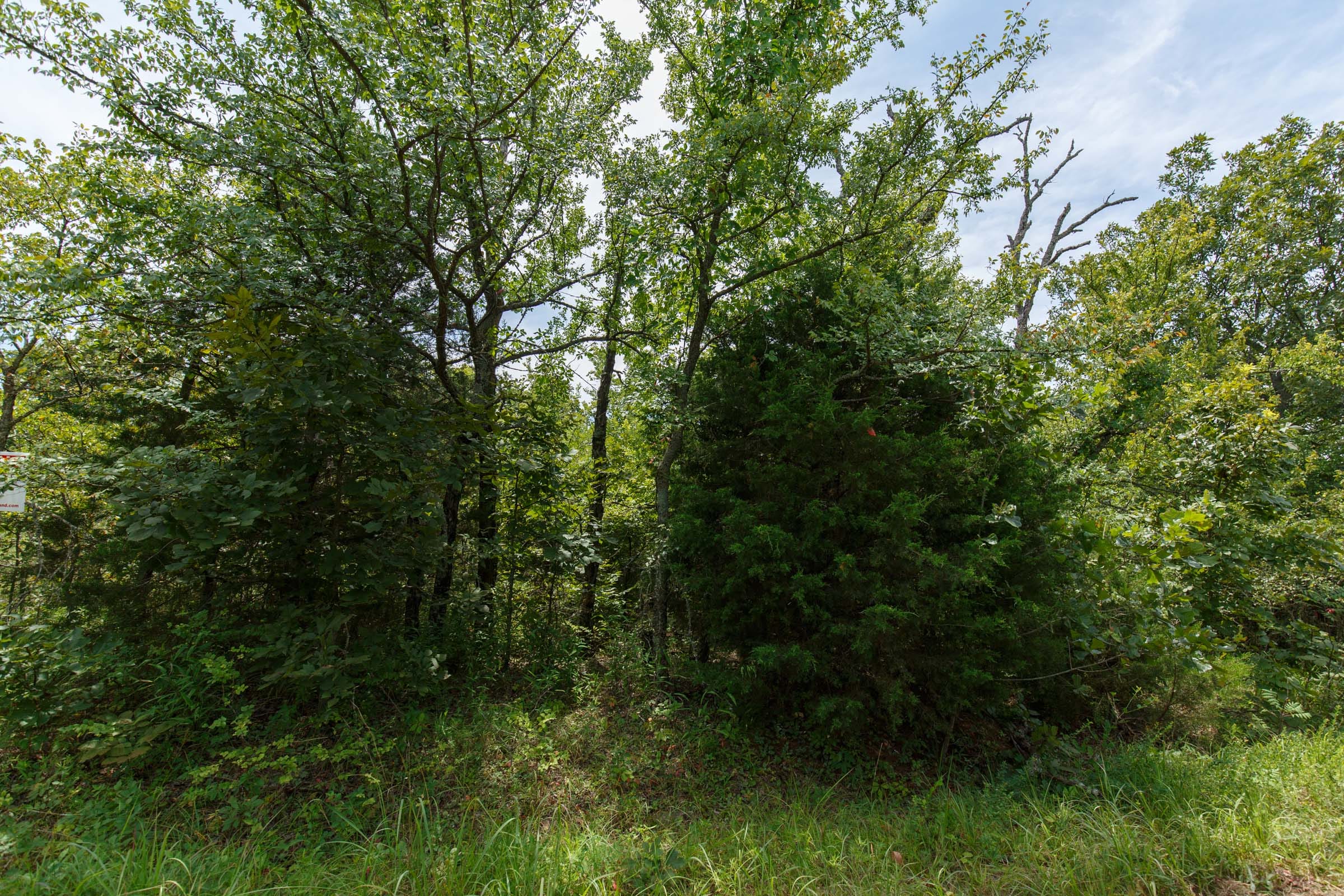 Timber Ridge Tract 17 photo 3