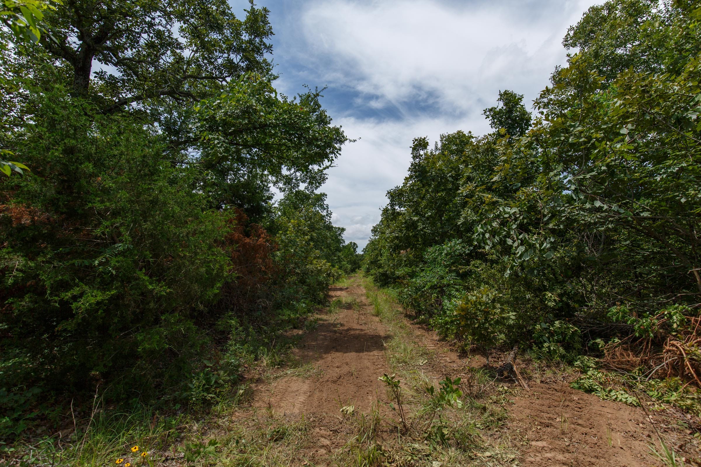 Timber Ridge Tract 17 photo 4
