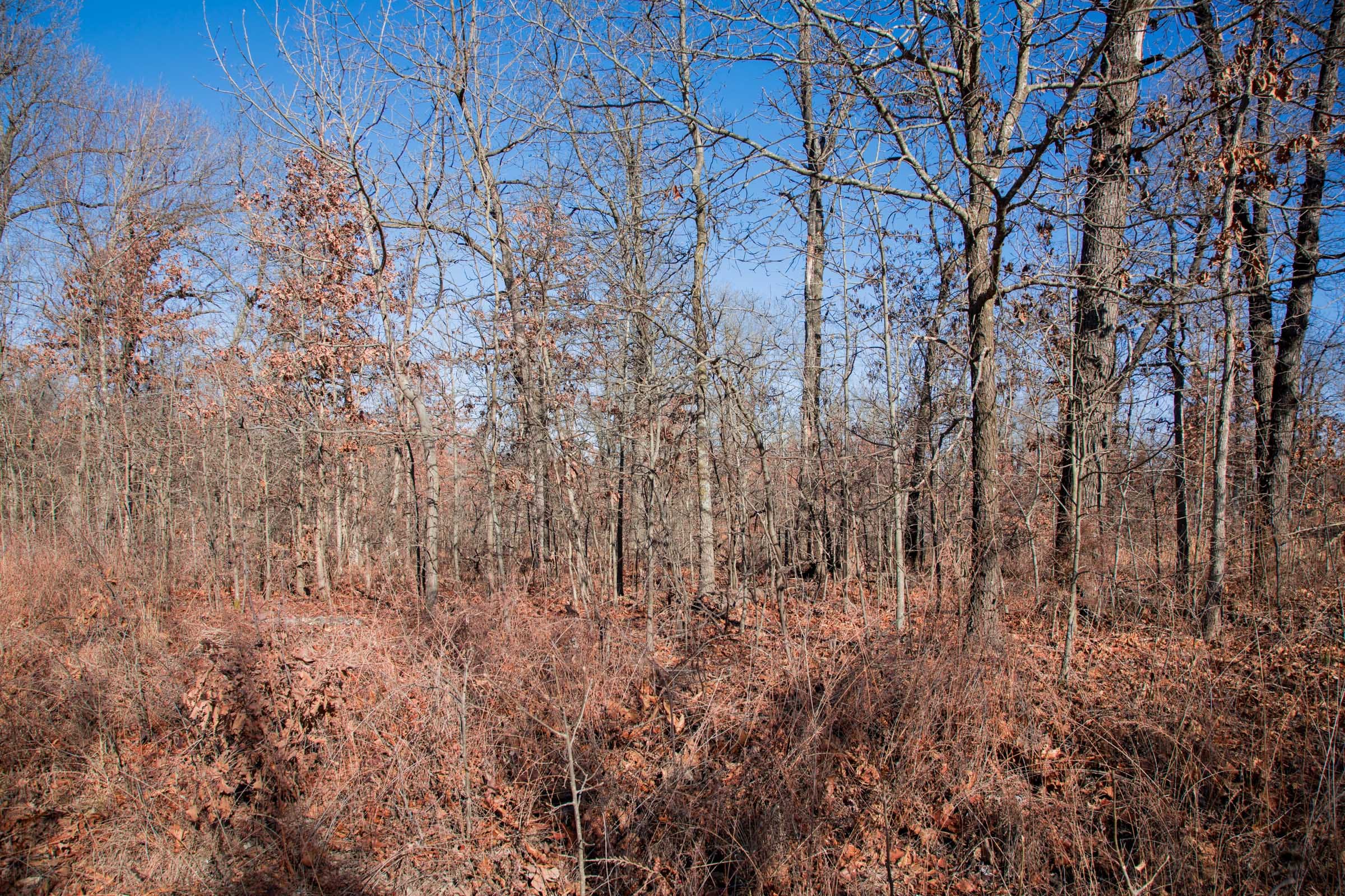 Buffalo Hills Tract 12 photo 2