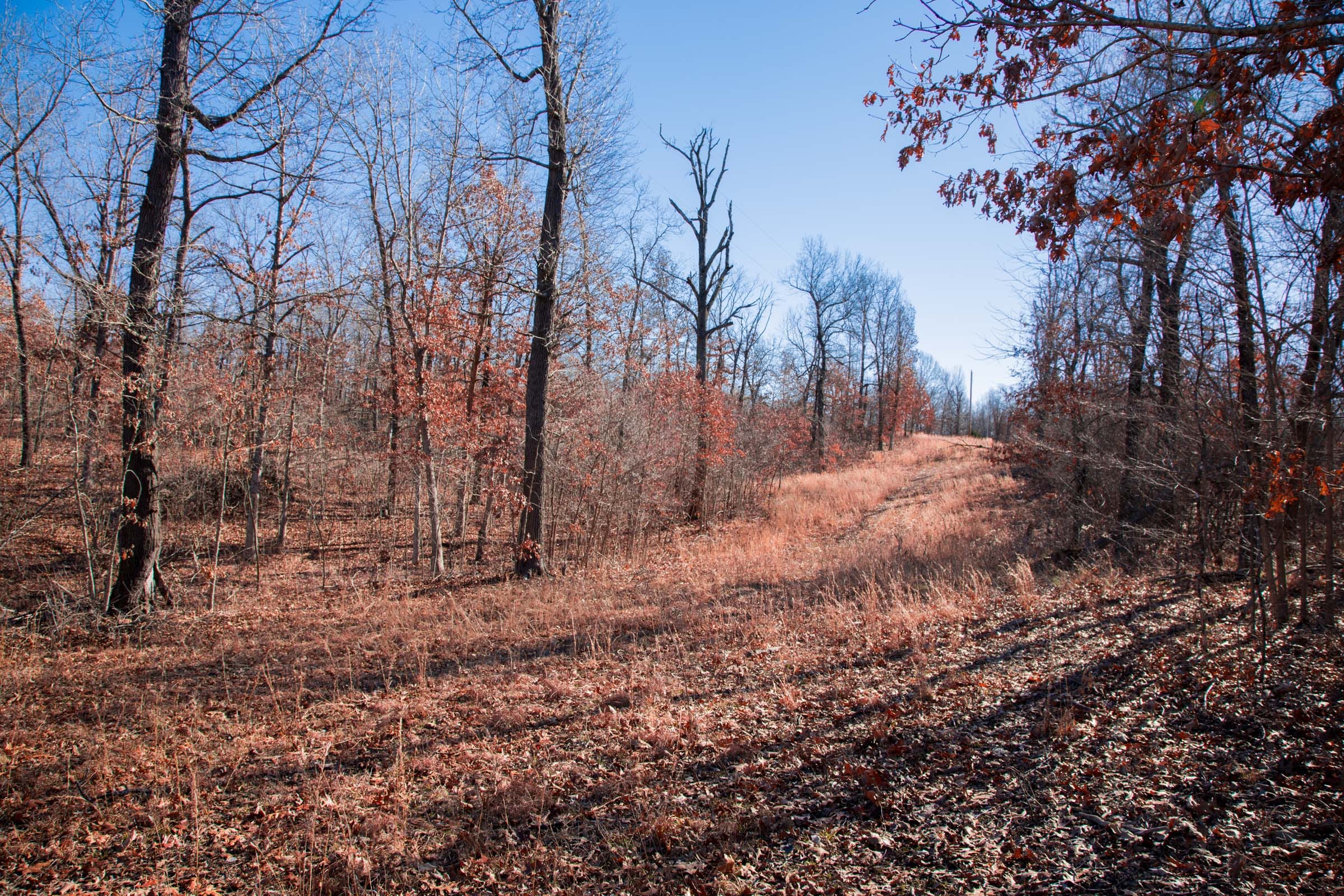 Buffalo Hills Tract 12 photo 3