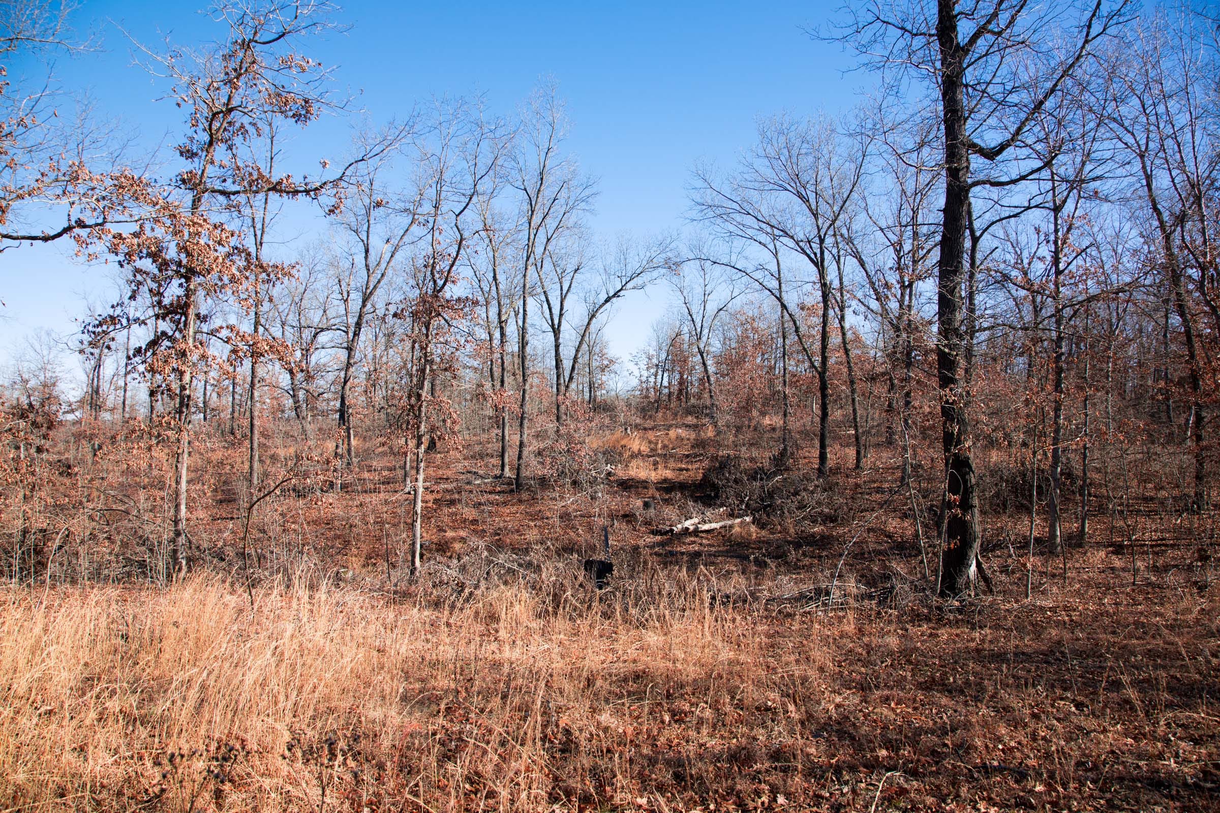 Buffalo Hills Tract 12 photo 4