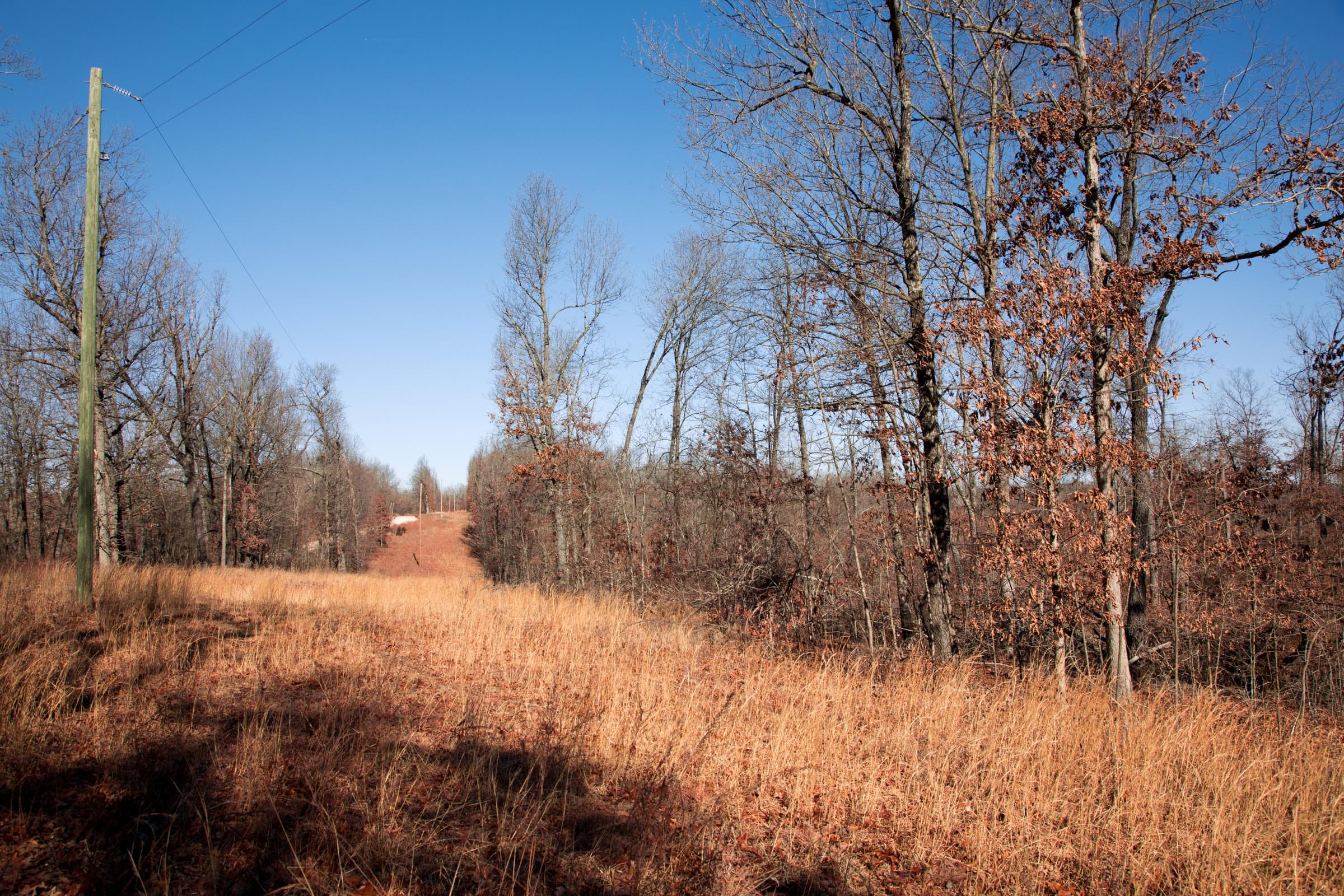 Buffalo Hills Tract 12 photo 5