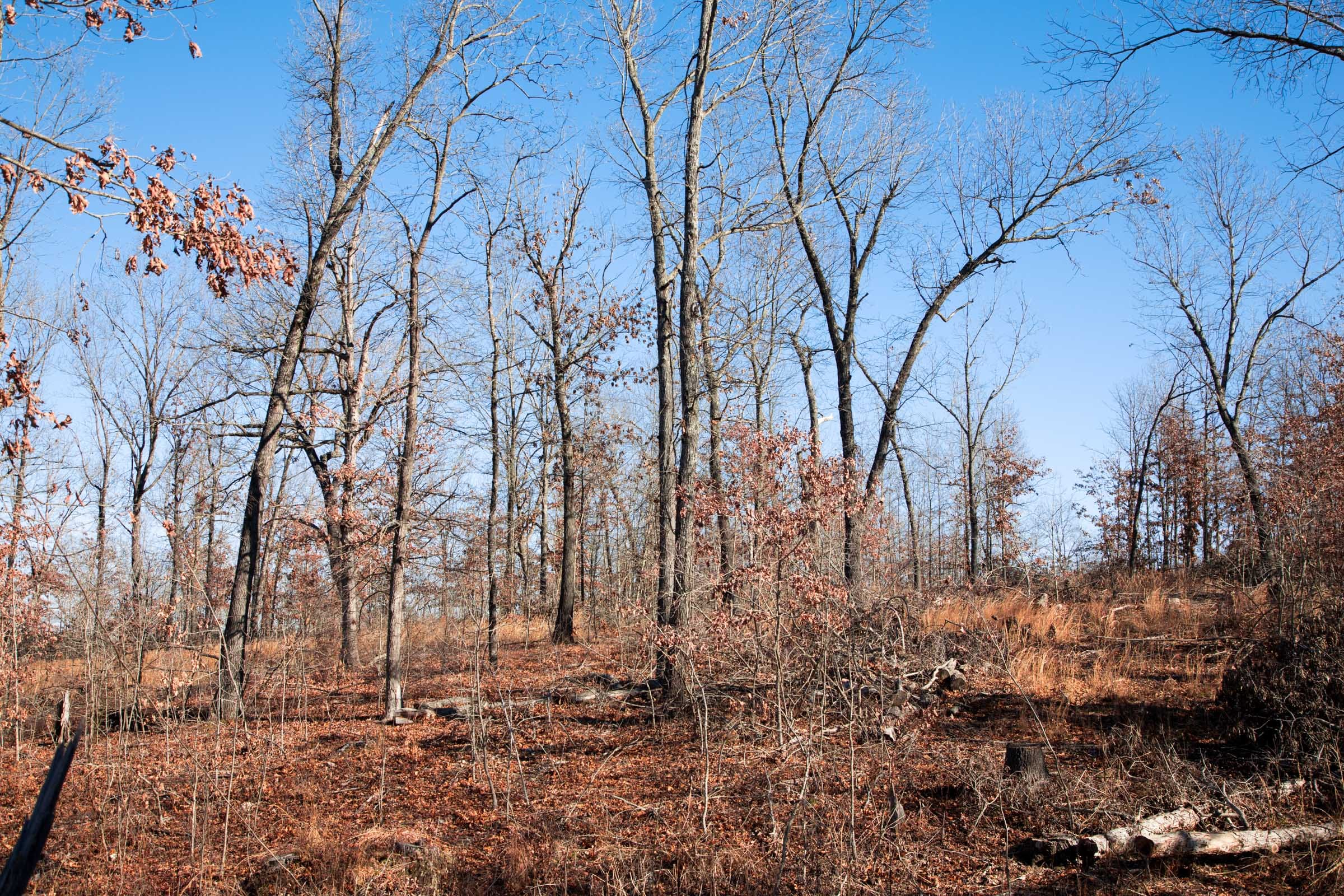 Buffalo Hills Tract 12 photo 6