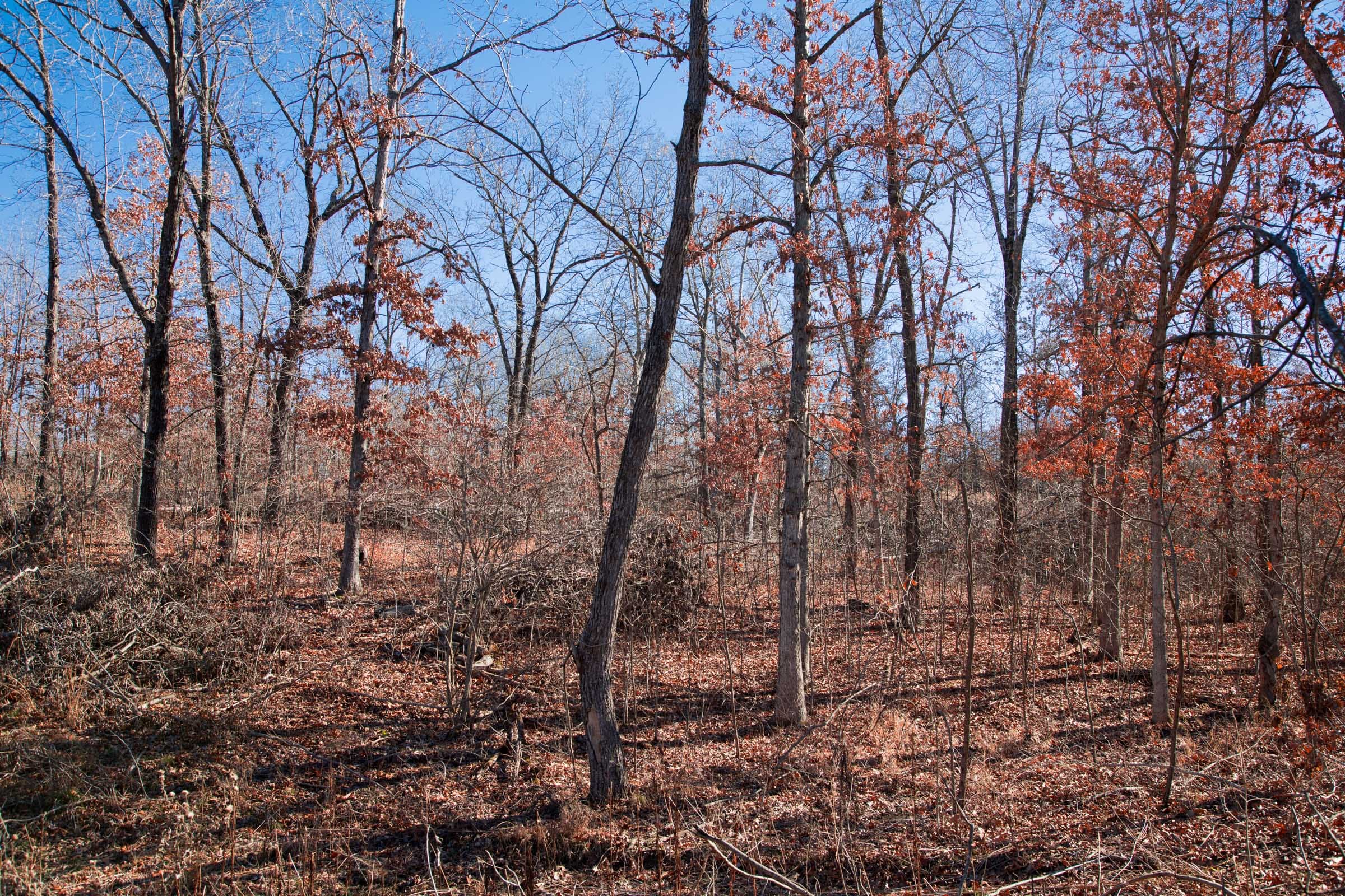 Buffalo Hills Tract 12 photo 7