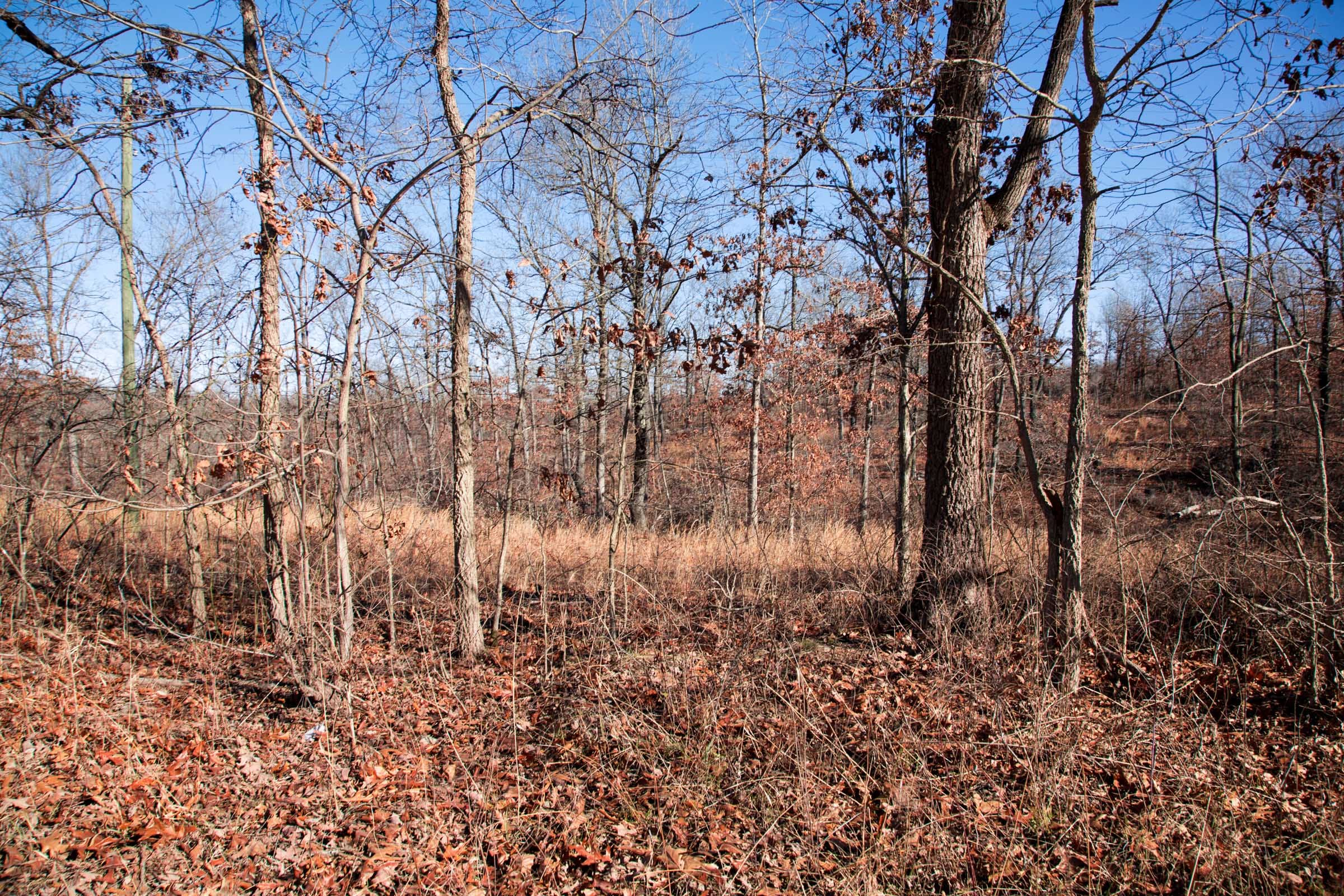 Buffalo Hills Tract 12 photo 8