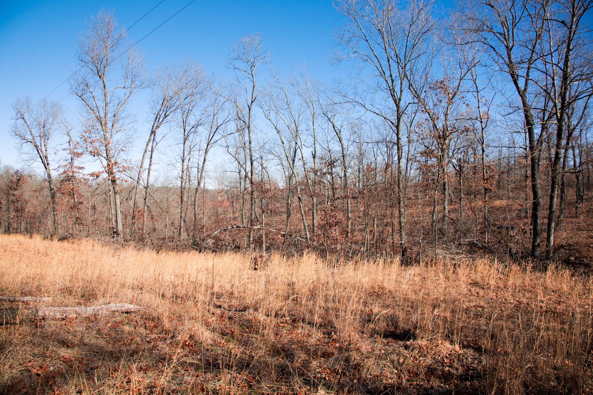 Buffalo Hills Tract 12 photo 9