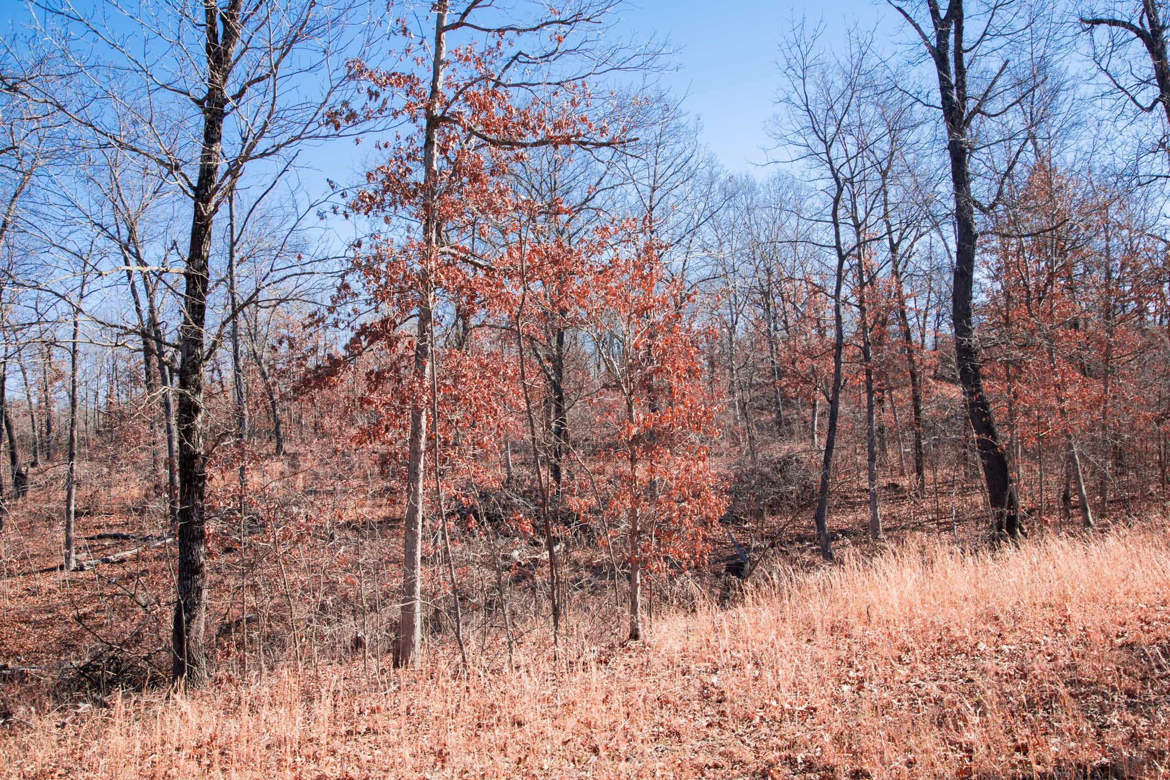 Buffalo Hills Tract 12 photo 10