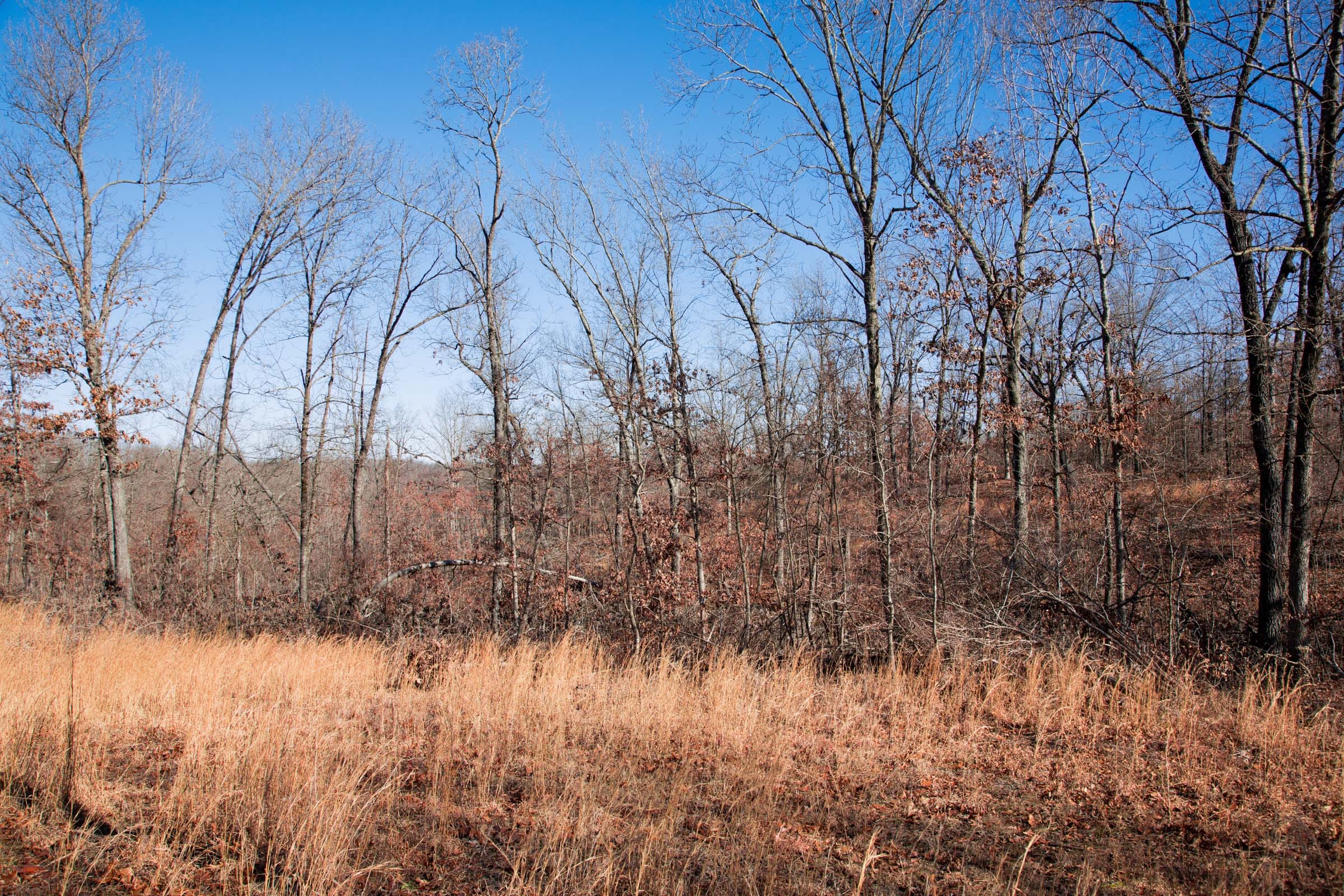Buffalo Hills Tract 12 photo 11
