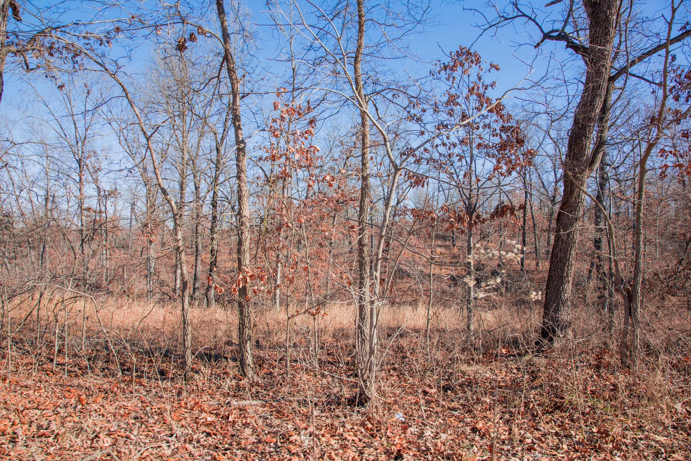 Buffalo Hills Tract 12 photo 13