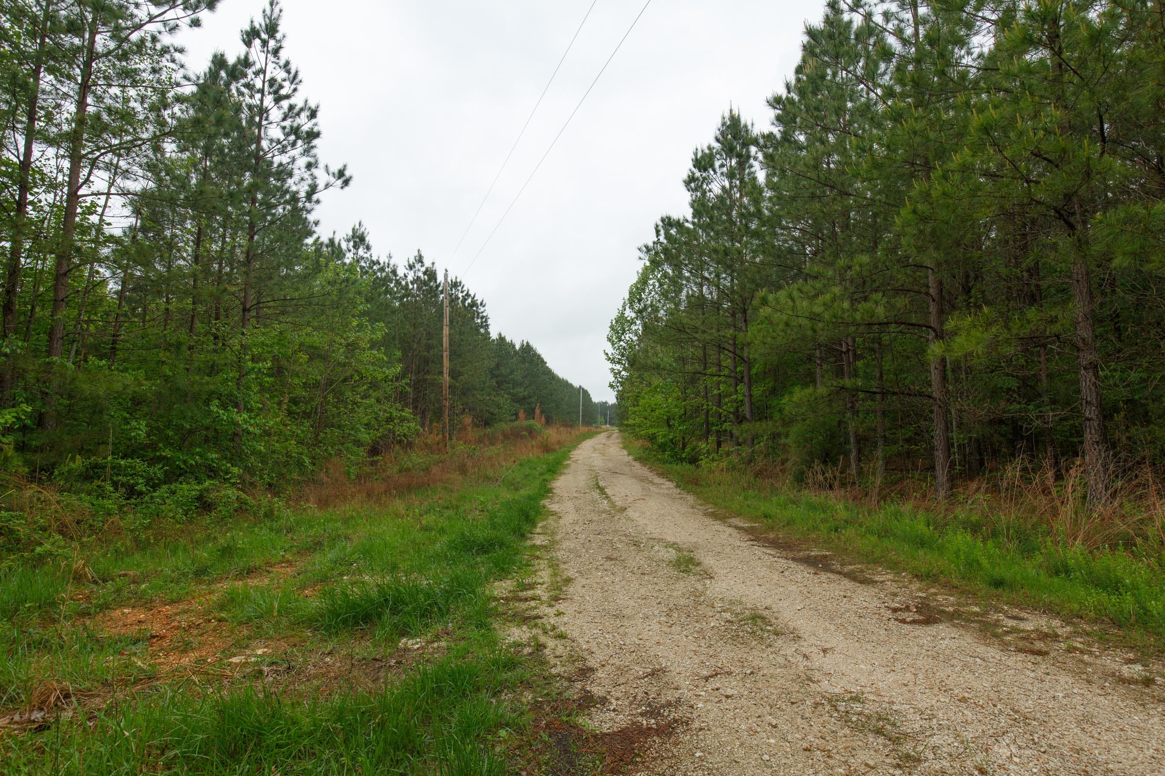 Red Barn Ranch Tract 65 photo 5