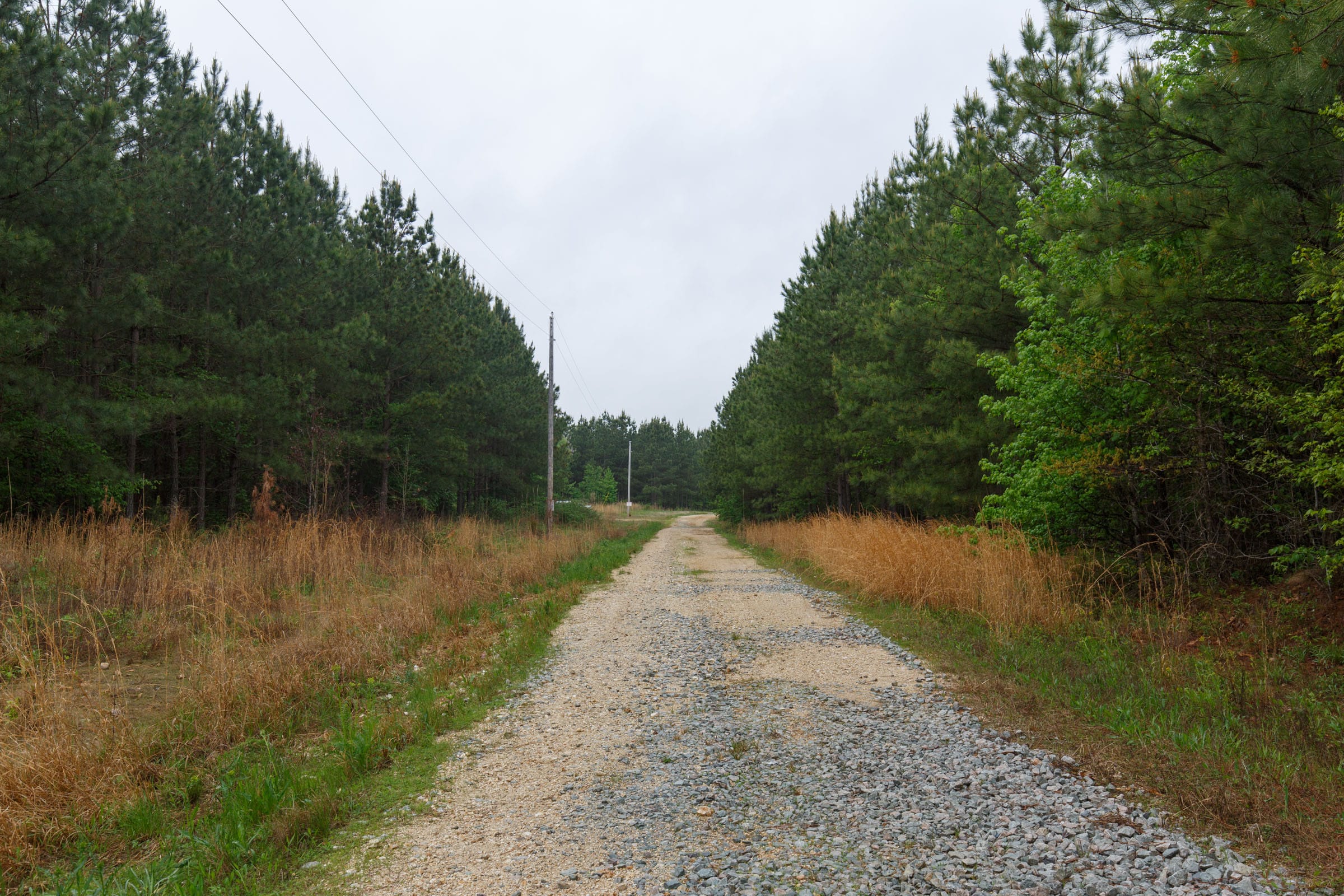 Red Barn Ranch Tract 65 photo 8