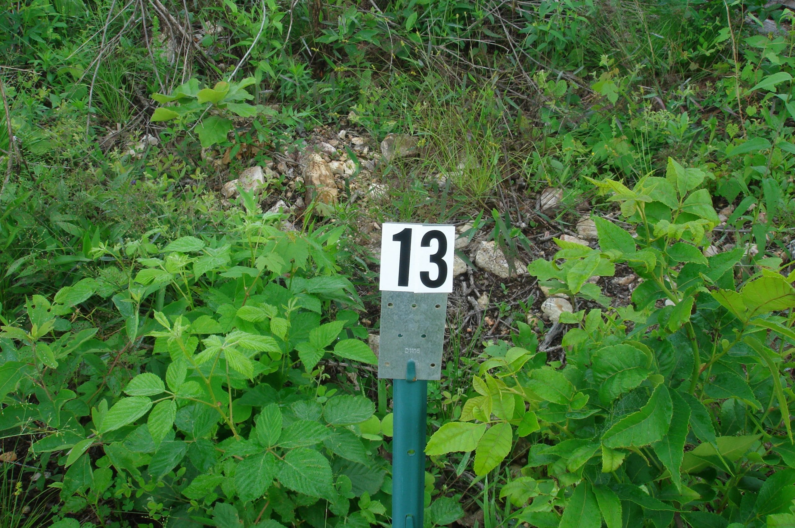 Deer Valley Tract 13 photo 1