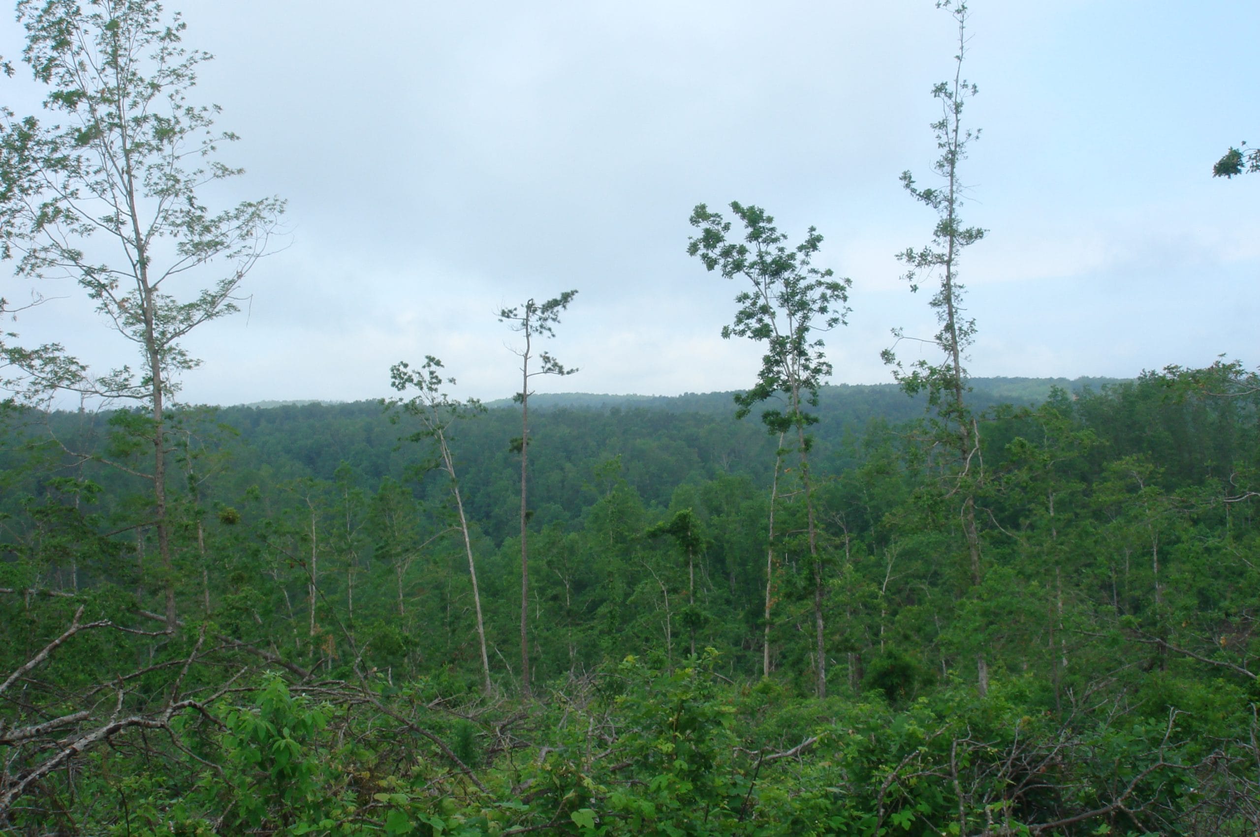 Deer Valley Tract 13 photo 3