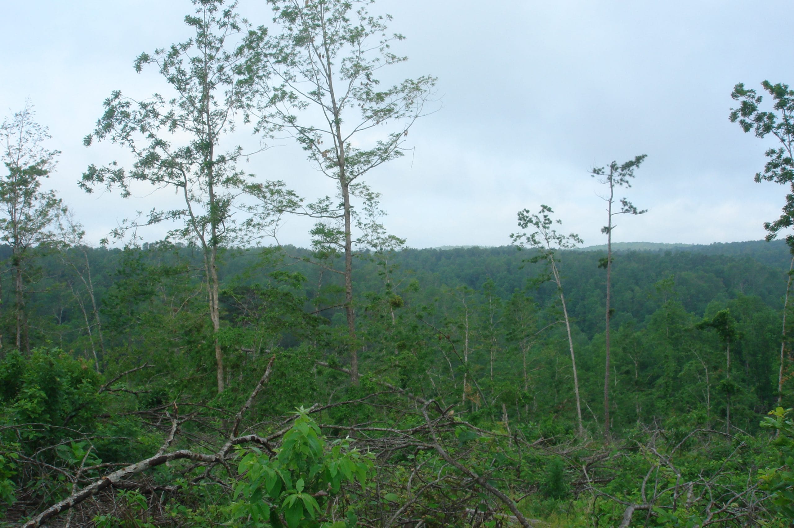 Deer Valley Tract 13 photo 5