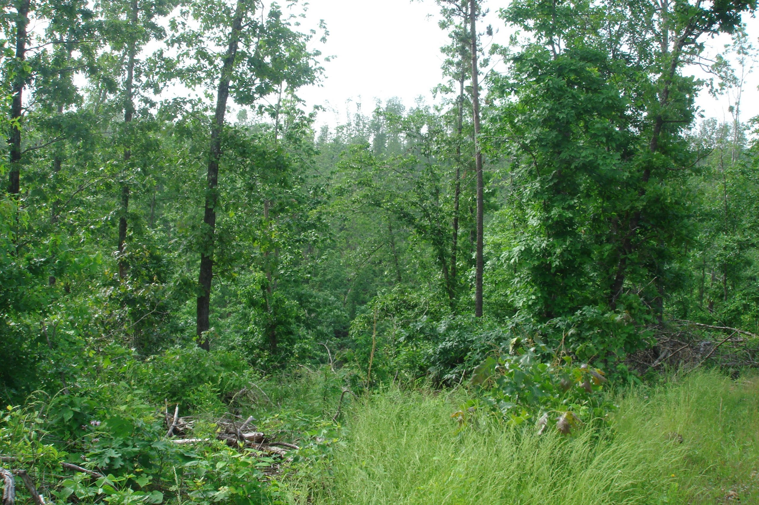 Deer Valley Tract 13 photo 8