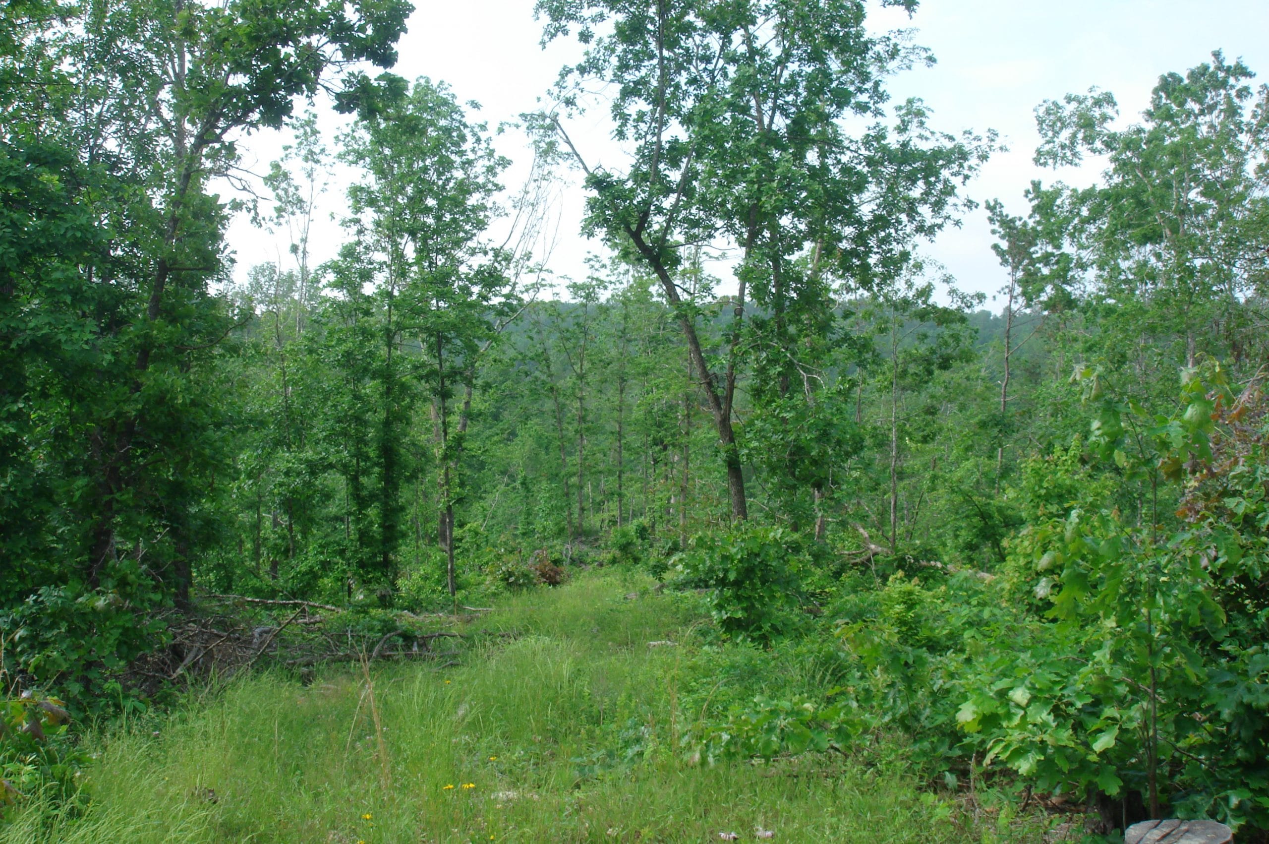 Deer Valley Tract 13 photo 9