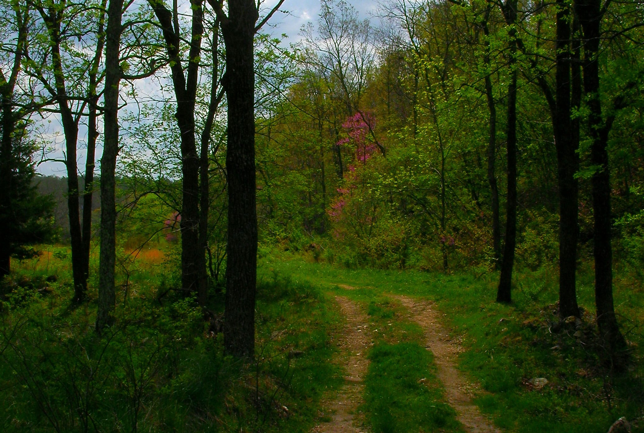Deer Valley Tract 13 photo 2