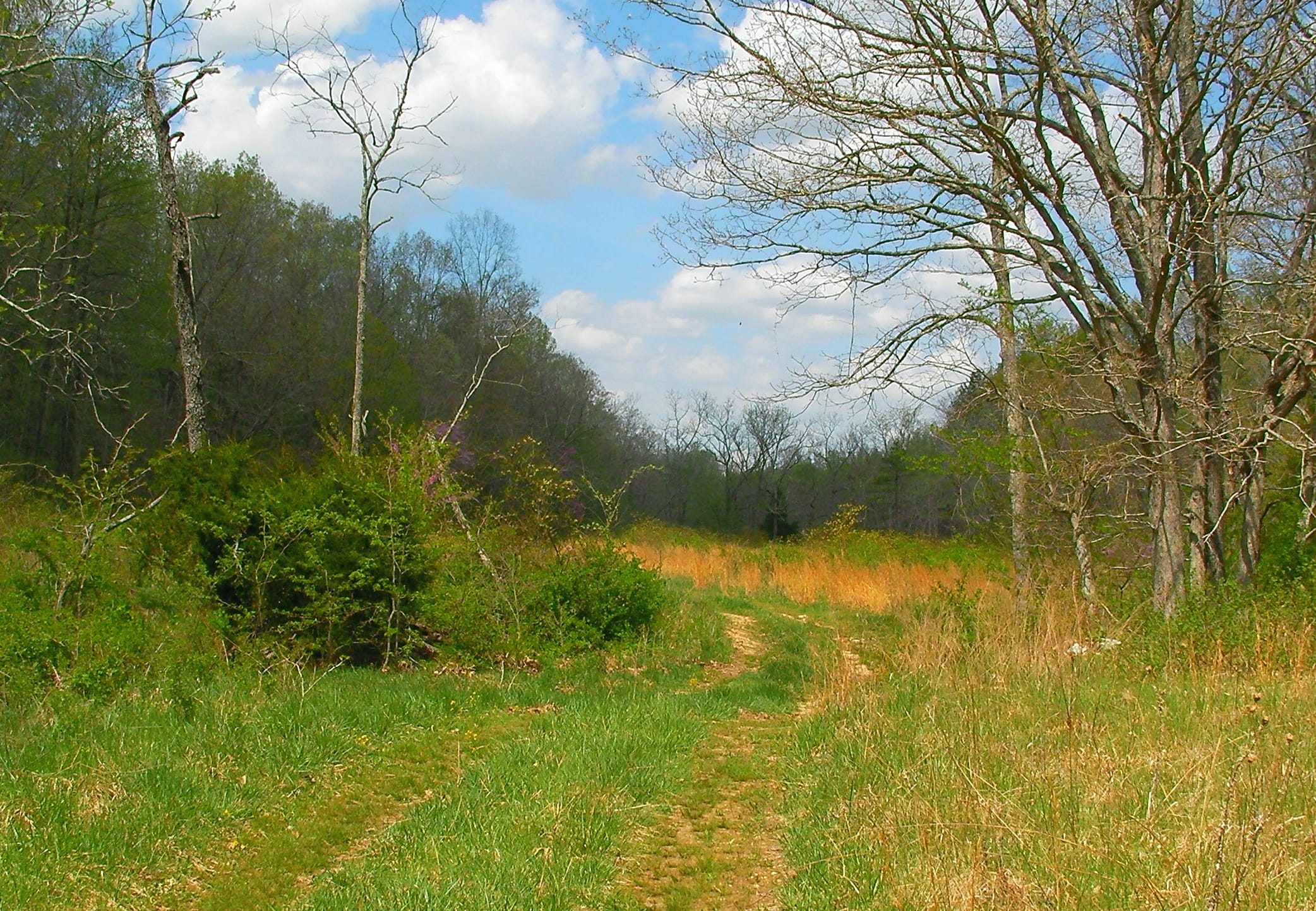 Deer Valley Tract 13 photo 10