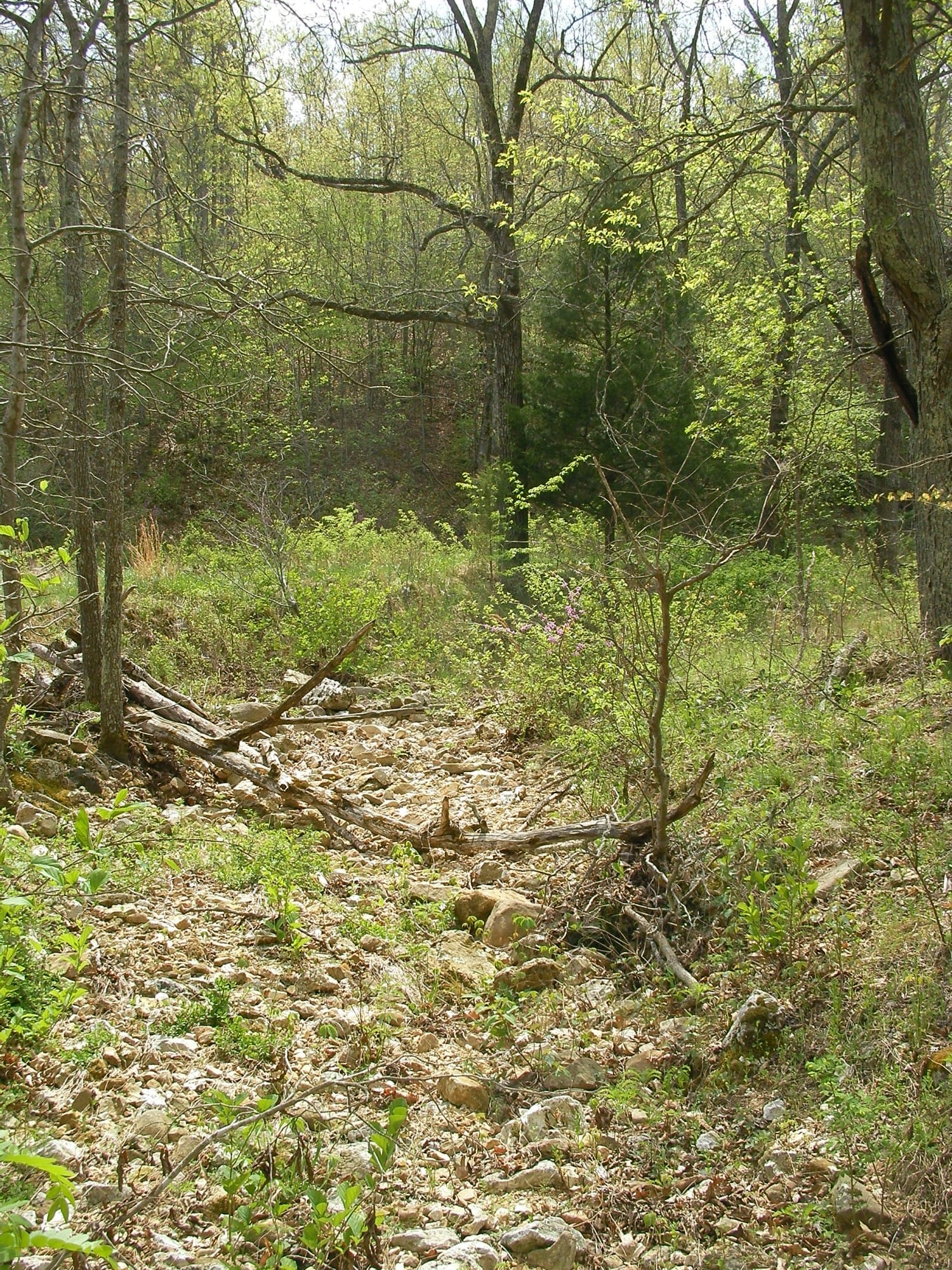 Deer Valley Tract 13 photo 11