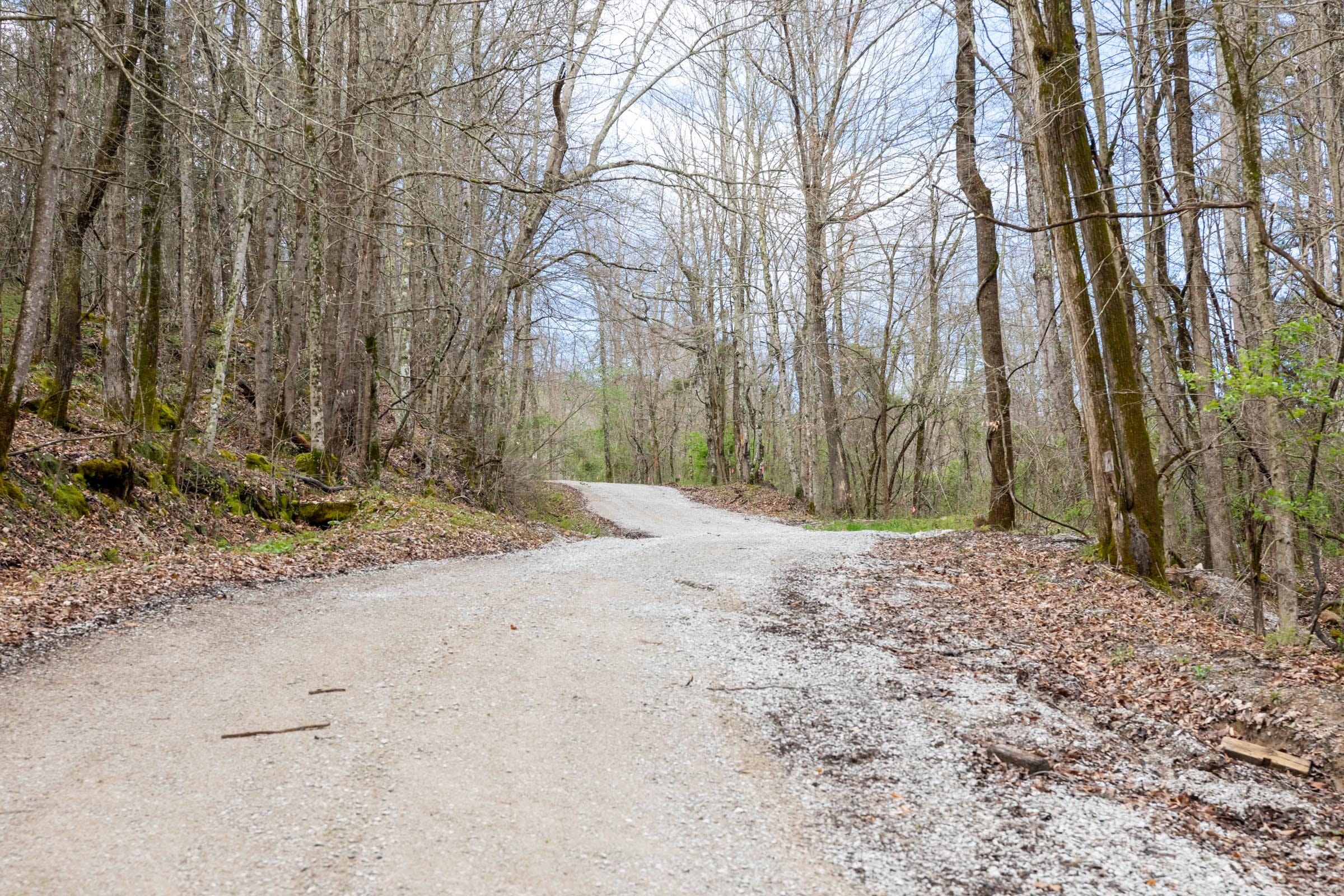 Woodland Heights Tract 18 photo 8