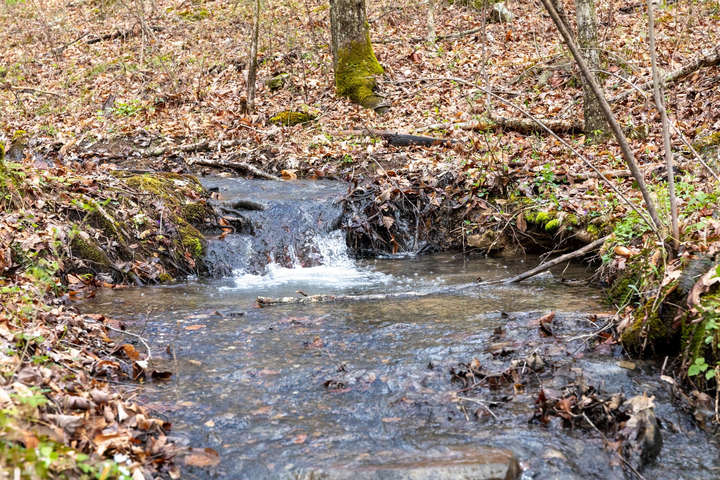 Woodland Heights Tract 18 photo 3