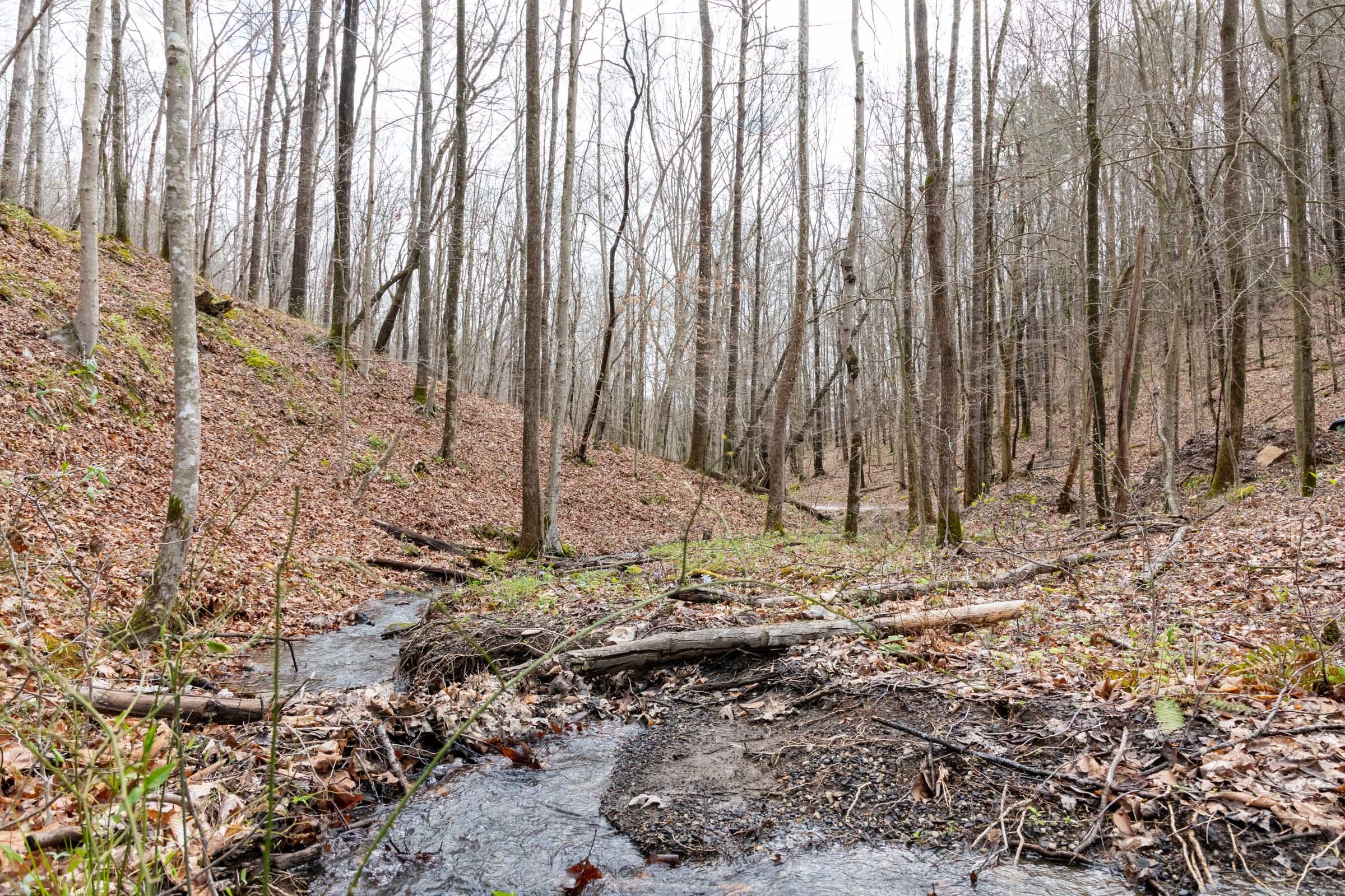 Woodland Heights Tract 18 photo 4