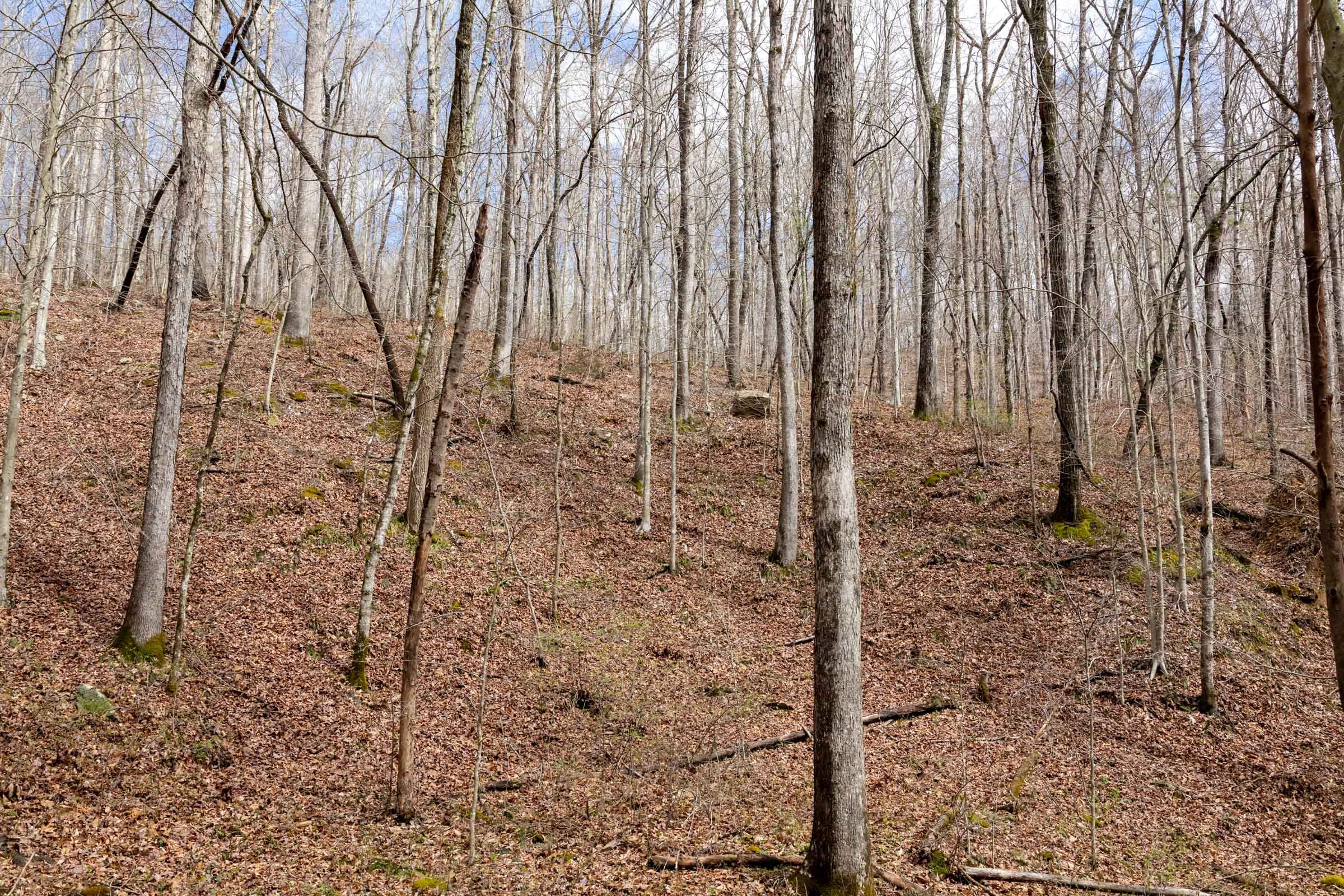Woodland Heights Tract 18 photo 11