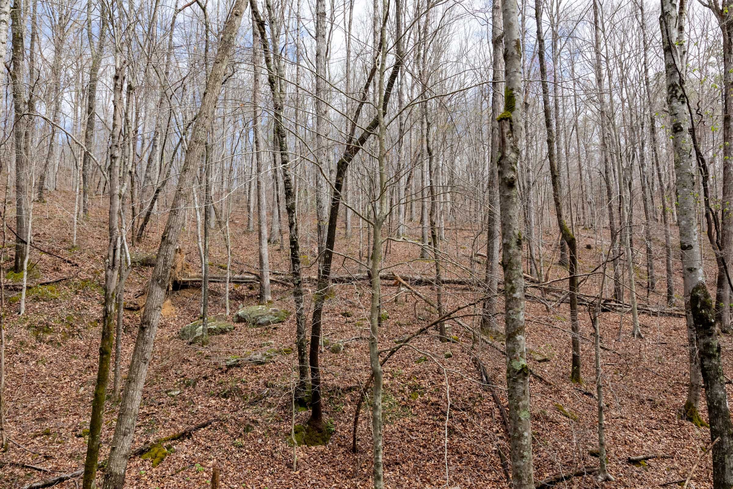 Woodland Heights Tract 18 photo 15