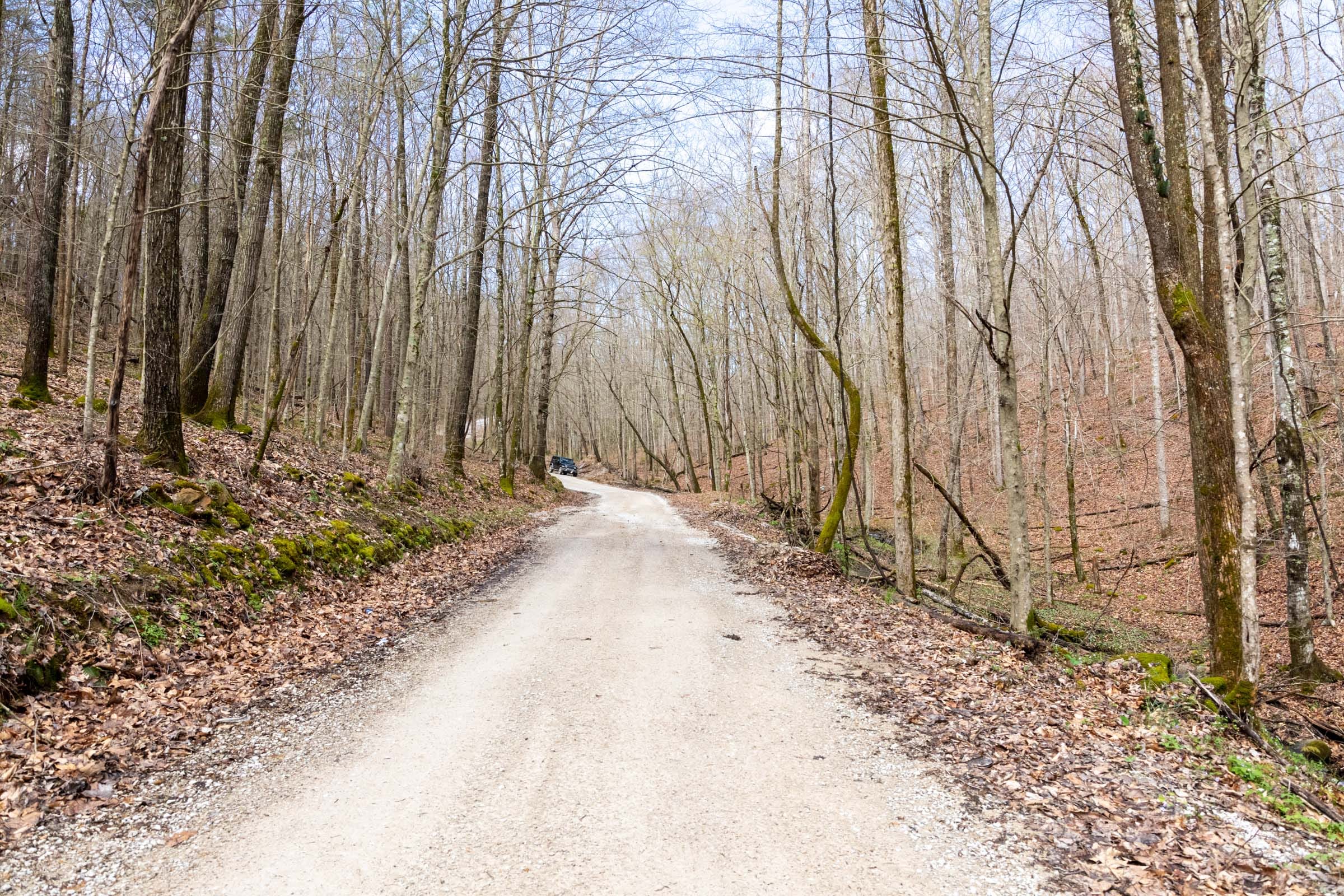 Woodland Heights Tract 18 photo 16