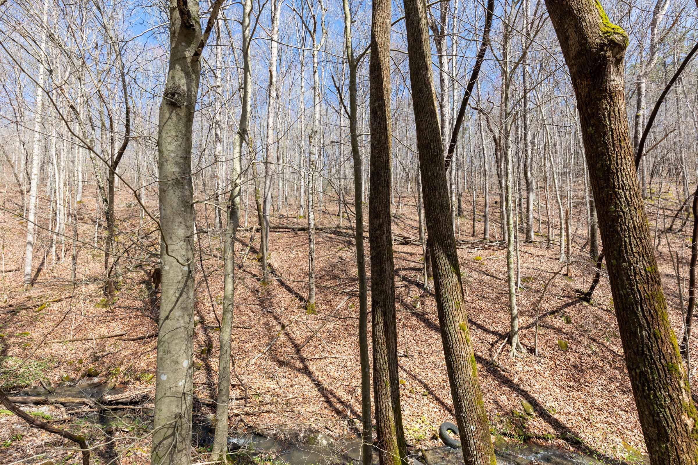 Woodland Heights Tract 18 photo 17